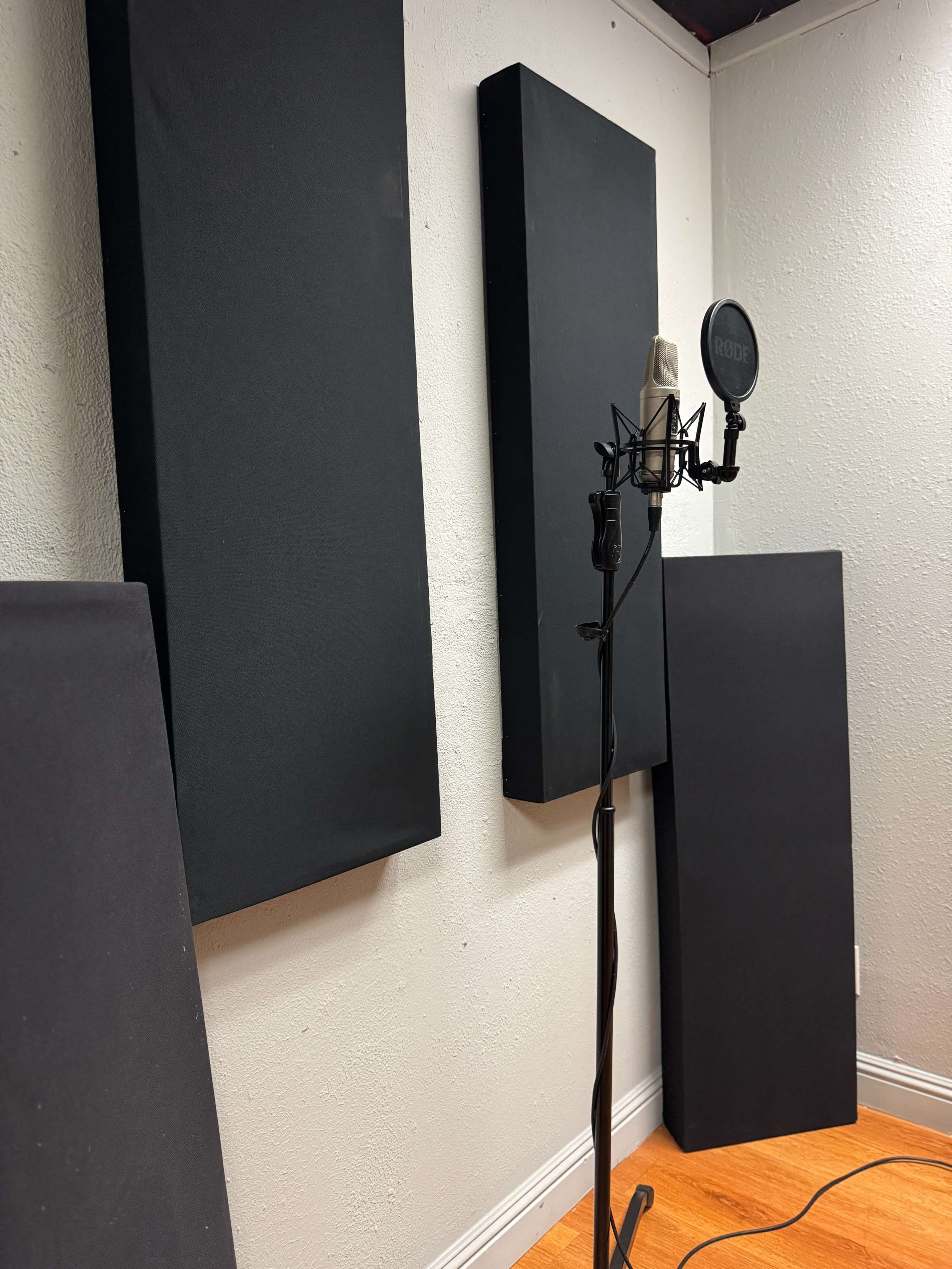 The image shows a microphone on a stand in a recording studio, flanked by soundproofing panels on the walls.