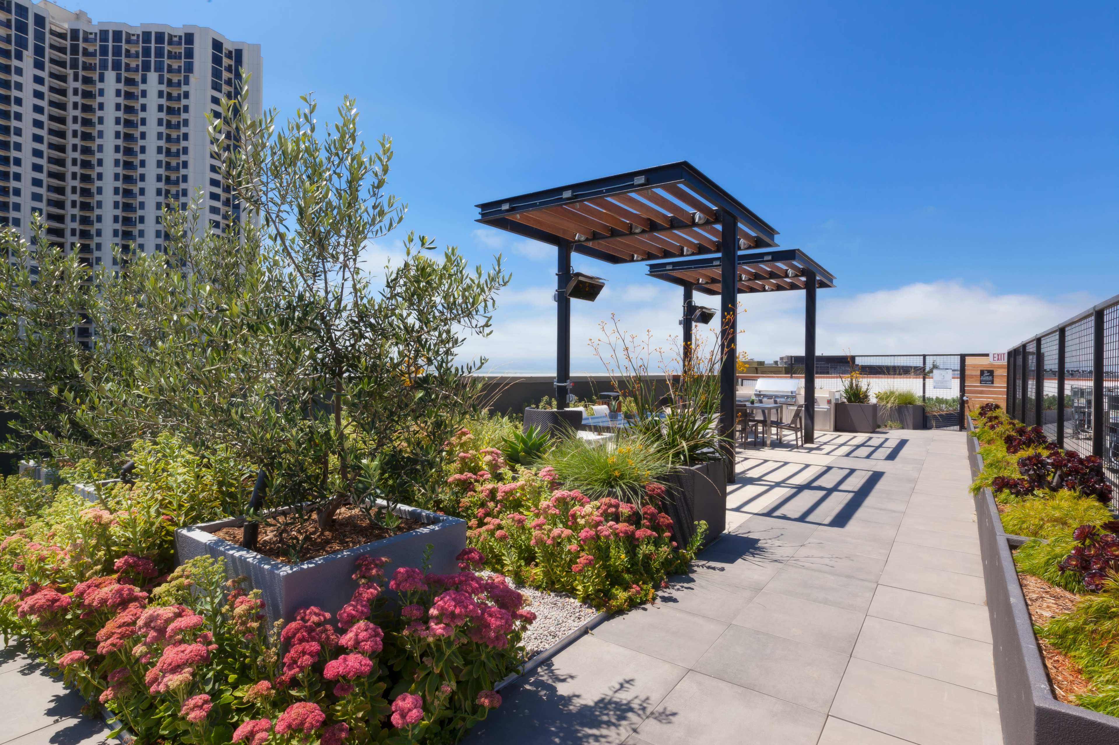 Rooftop with stunning East Bay and San Francisco skyline views Image in Emeryville, Emeryville, CA
