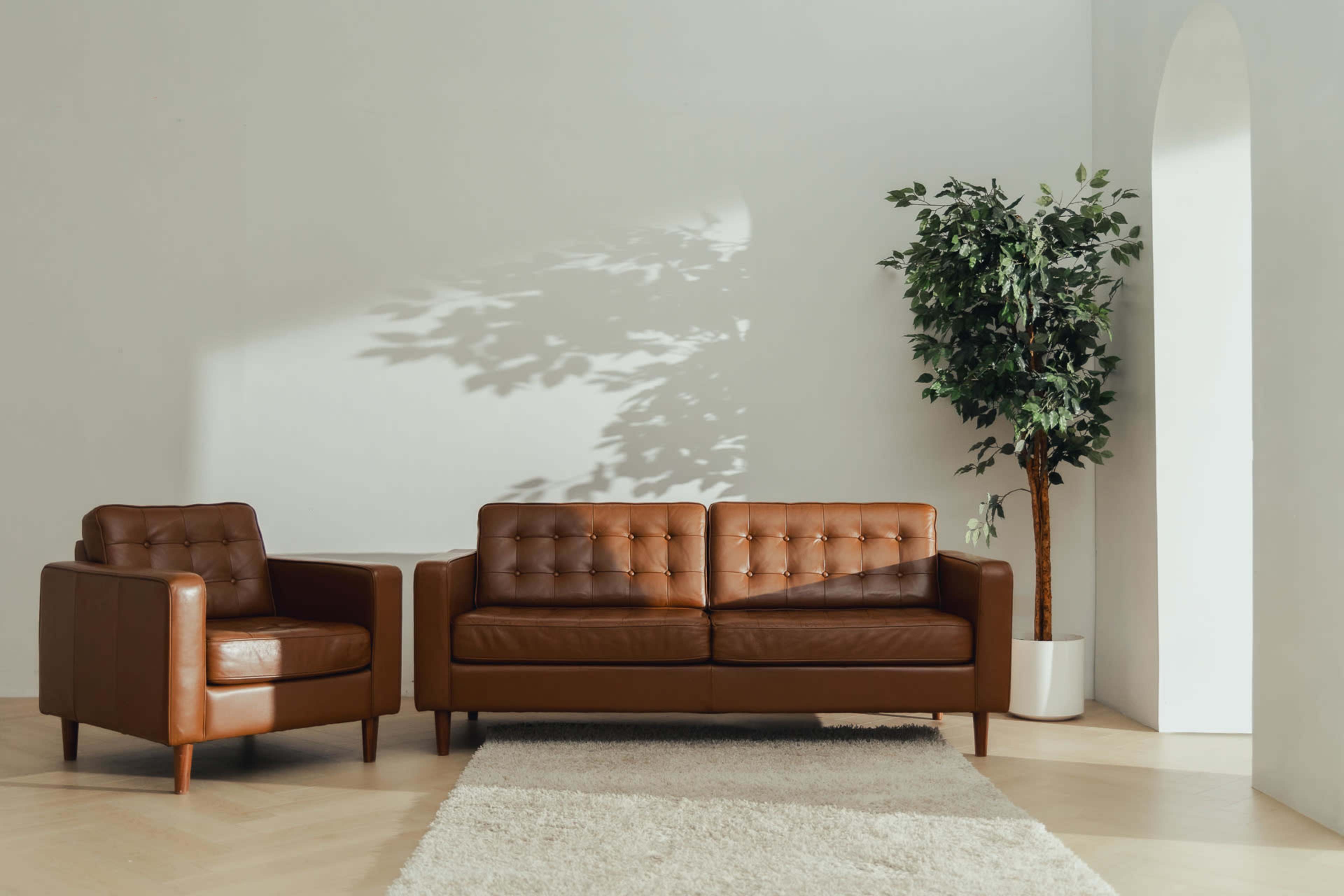 A brown leather sofa and matching armchair are positioned in a light-filled room with a potted tree and a textured rug on the floor.