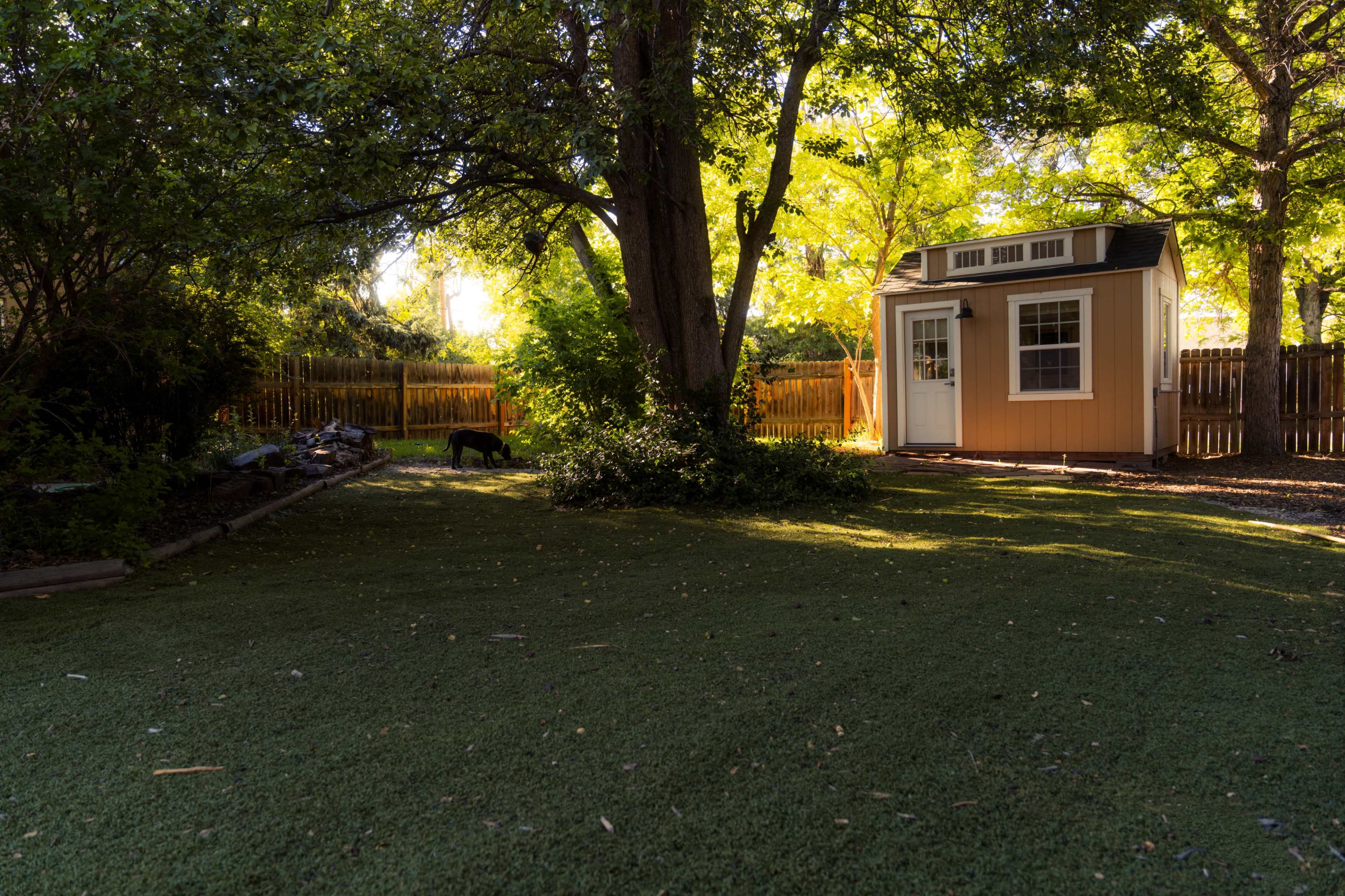 The image shows a small, brightly colored garden shed surrounded by greenery in a well-lit backyard.