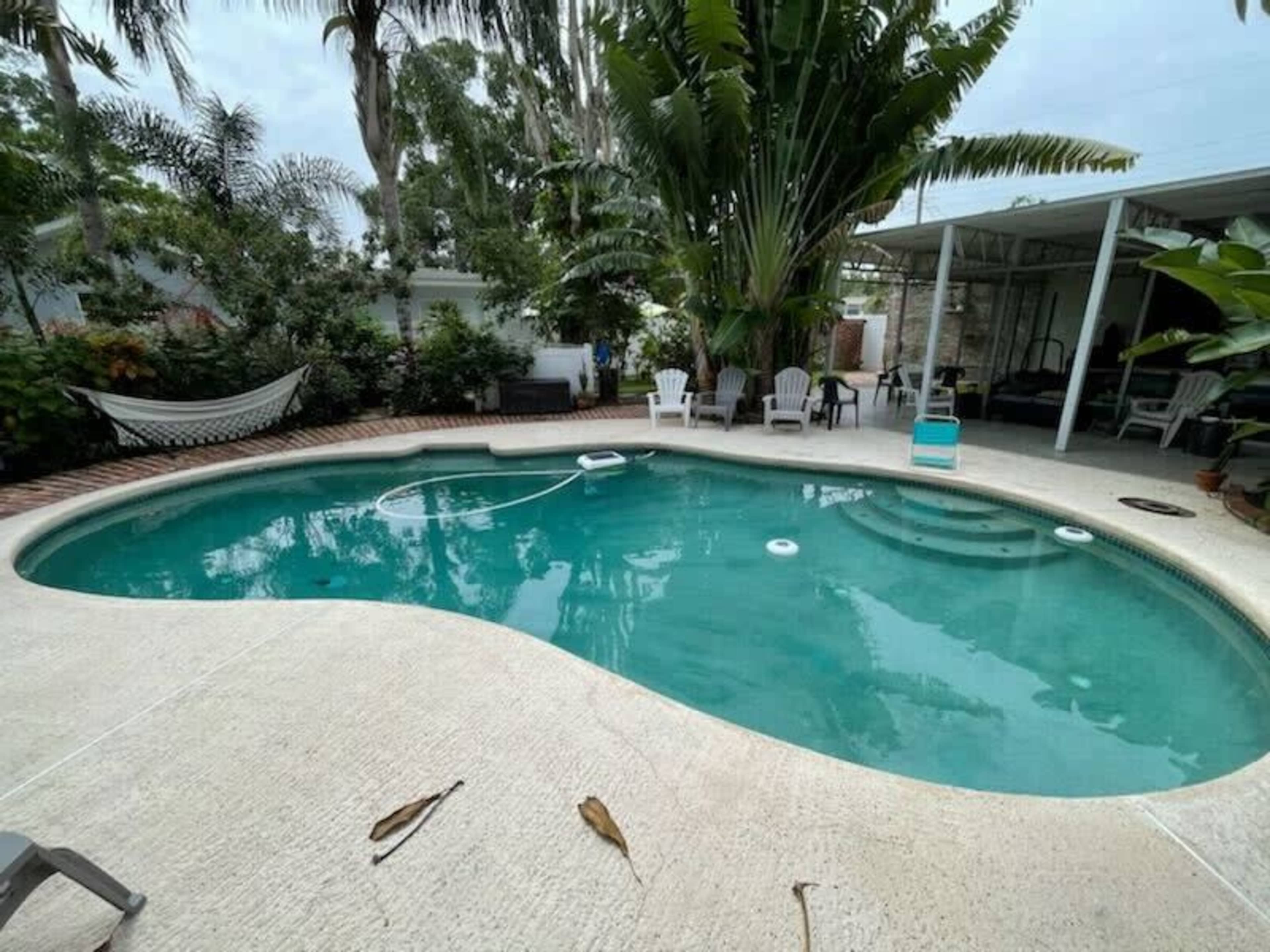 The image shows a curvy swimming pool surrounded by tropical plants, a hammock, and patio furniture under a partly cloudy sky.