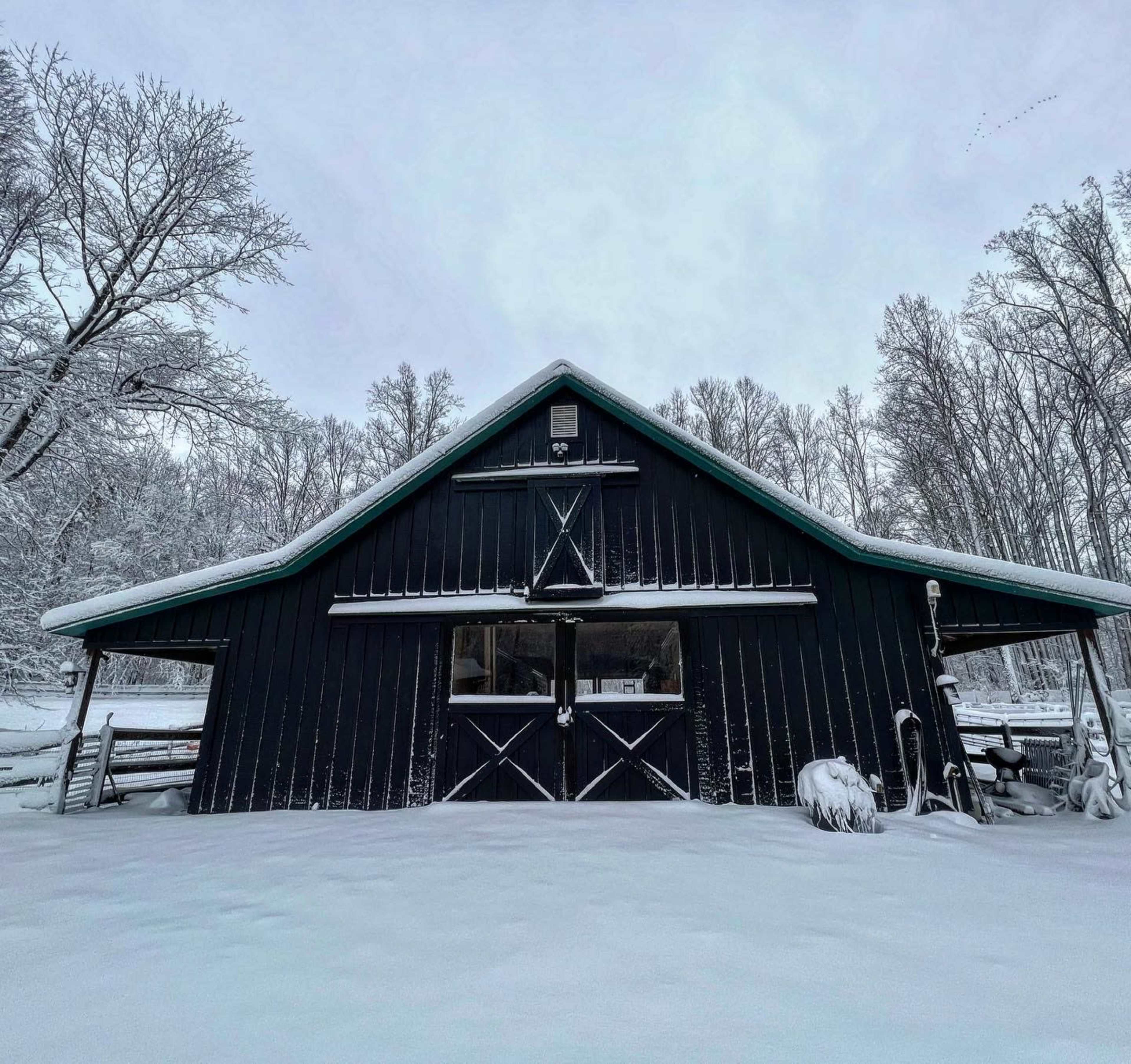 Suburban Alpaca and Llama Farm Image in Clifton, Fairfax Station, VA