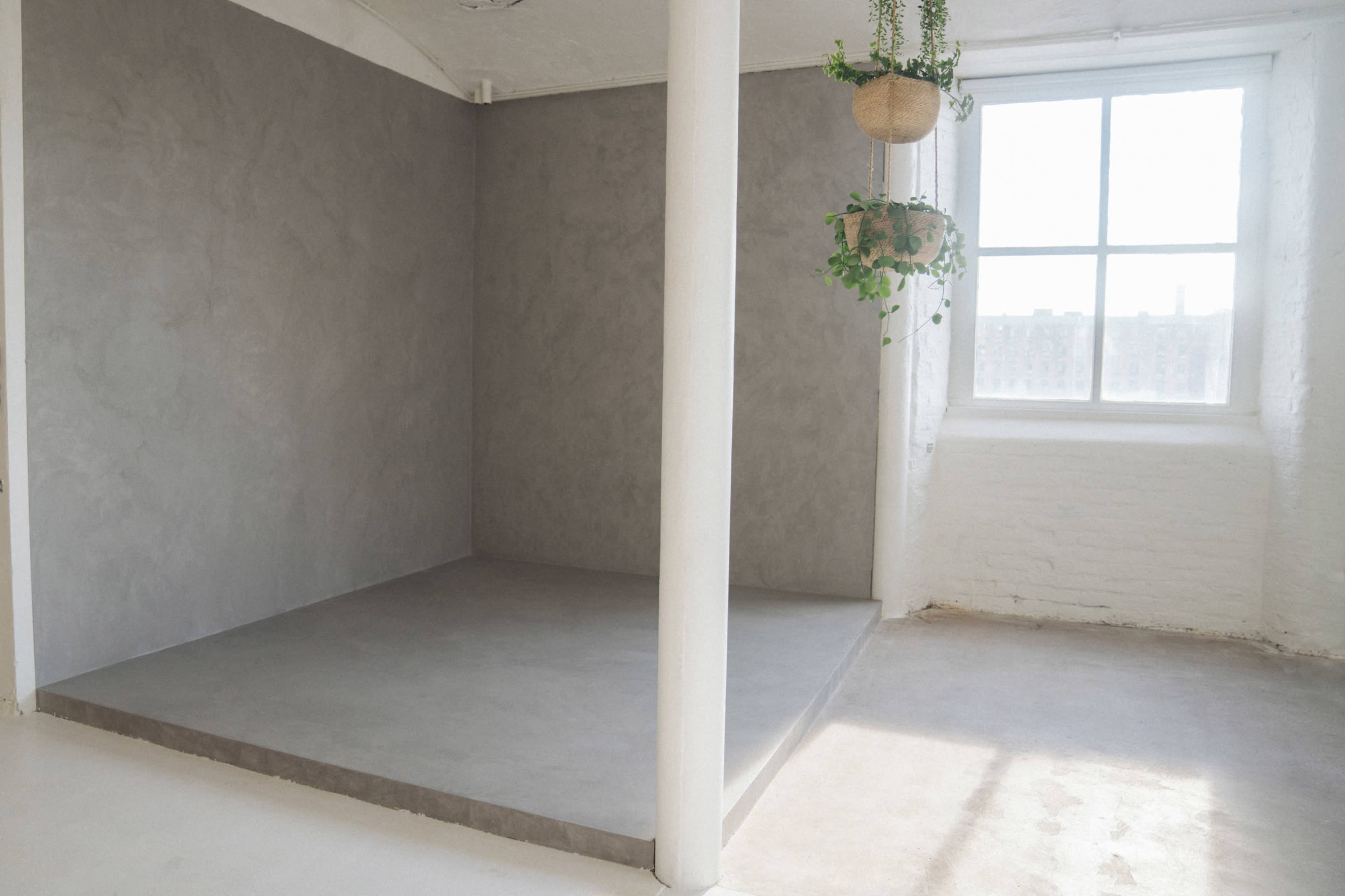 A minimalist interior with a gray textured wall, a raised platform, and a window with hanging plants.
