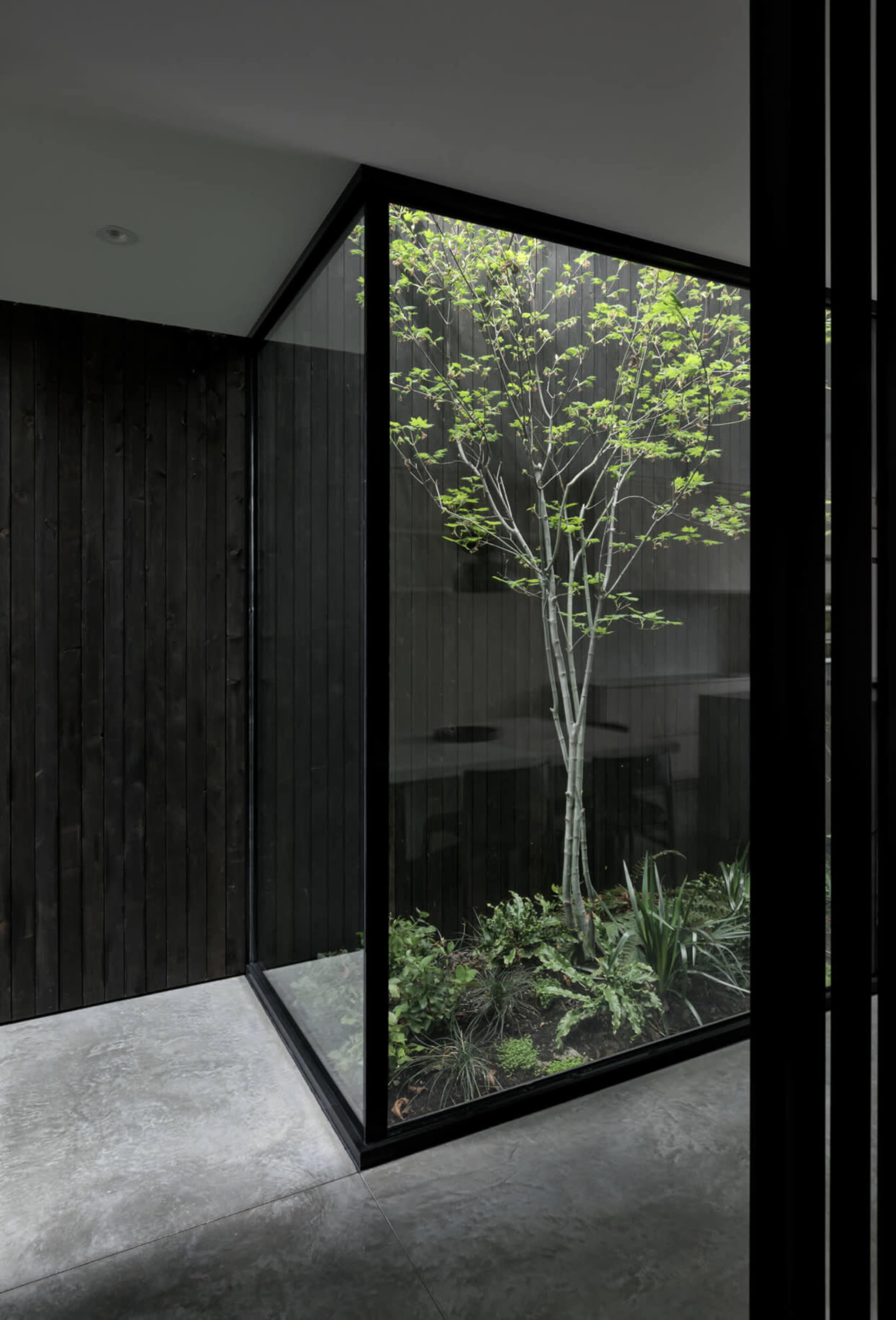 A modern interior space with a glass wall that encloses a small garden featuring a tree and various plants.