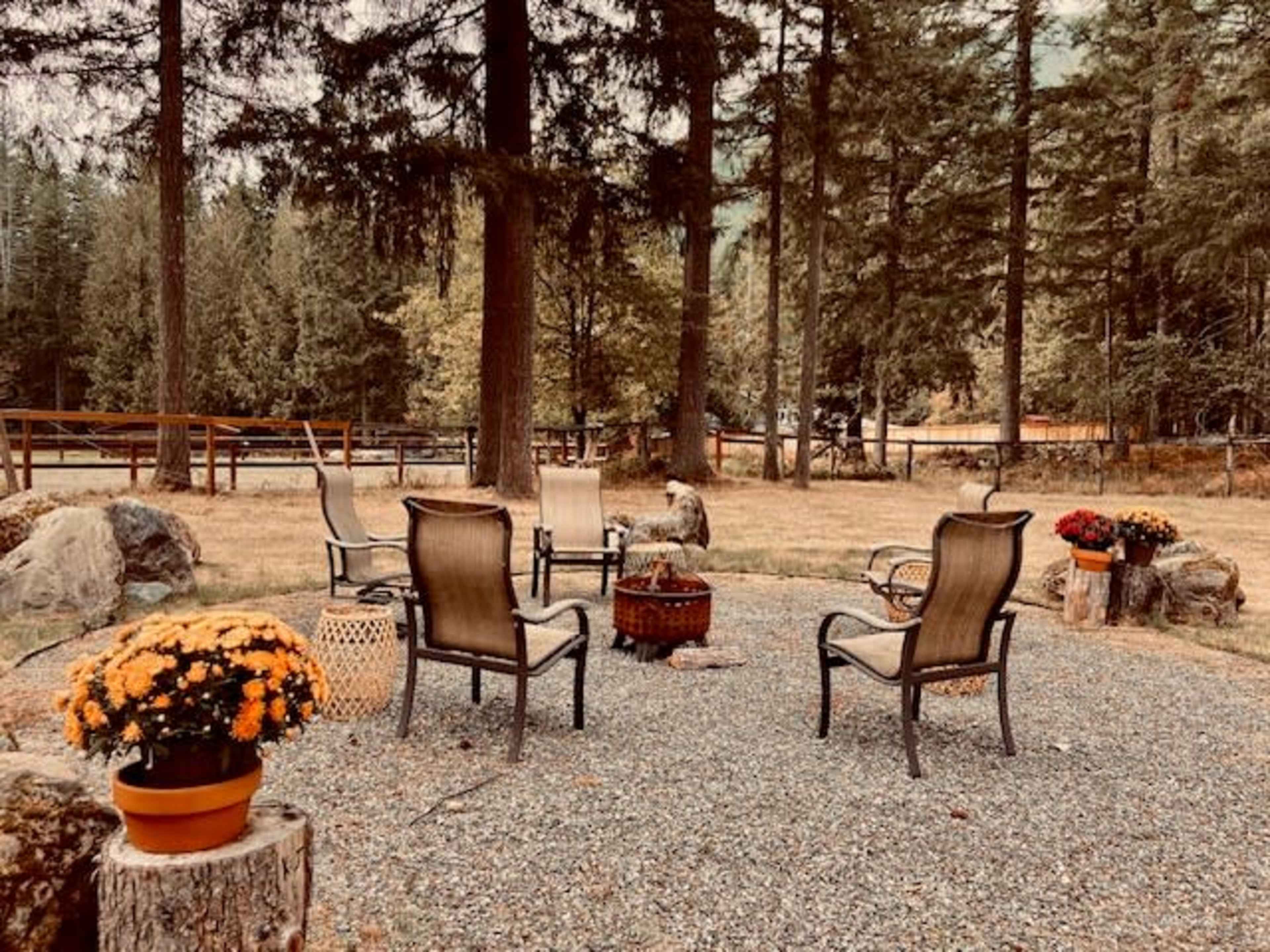 The image shows a rustic outdoor seating area with chairs arranged around a fire pit, surrounded by trees and landscaped with potted flowers.