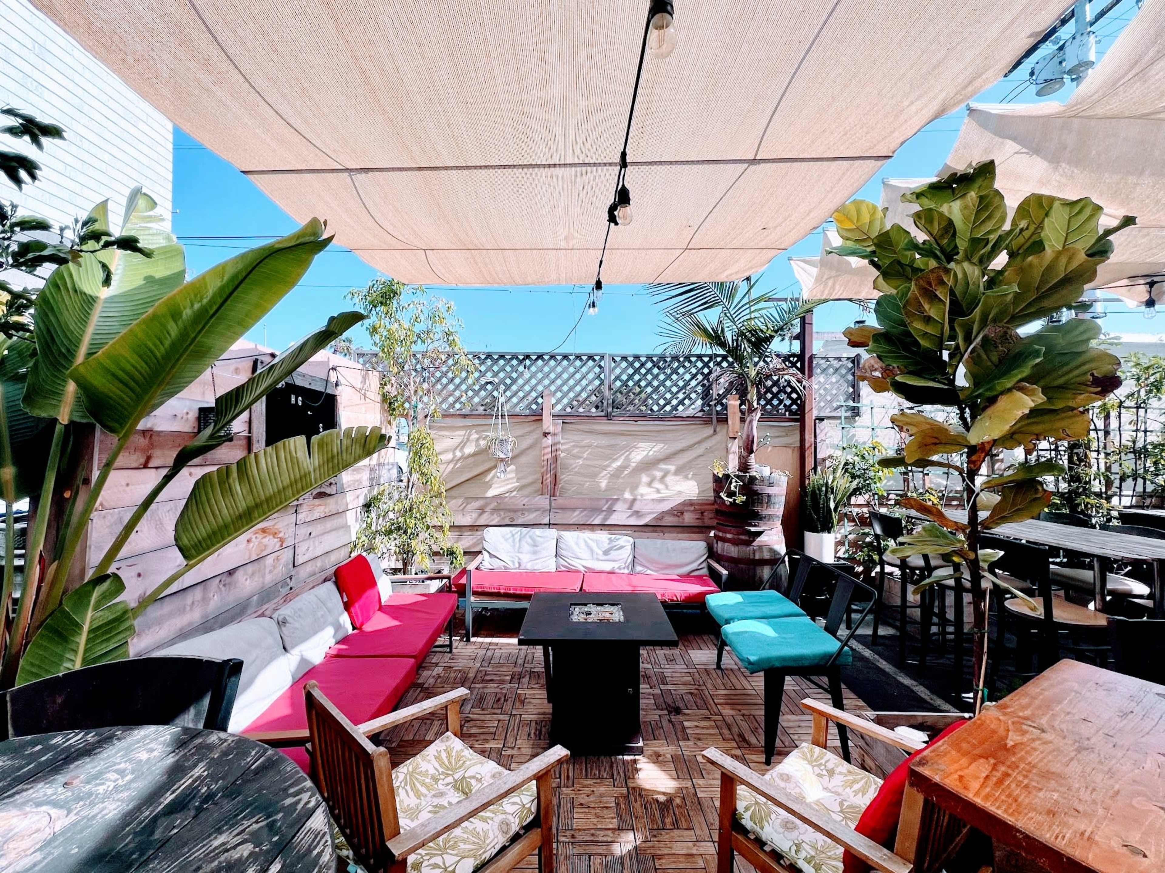 A cozy outdoor lounge area features colorful seating, wooden tables, and tropical plants under a shaded canopy.