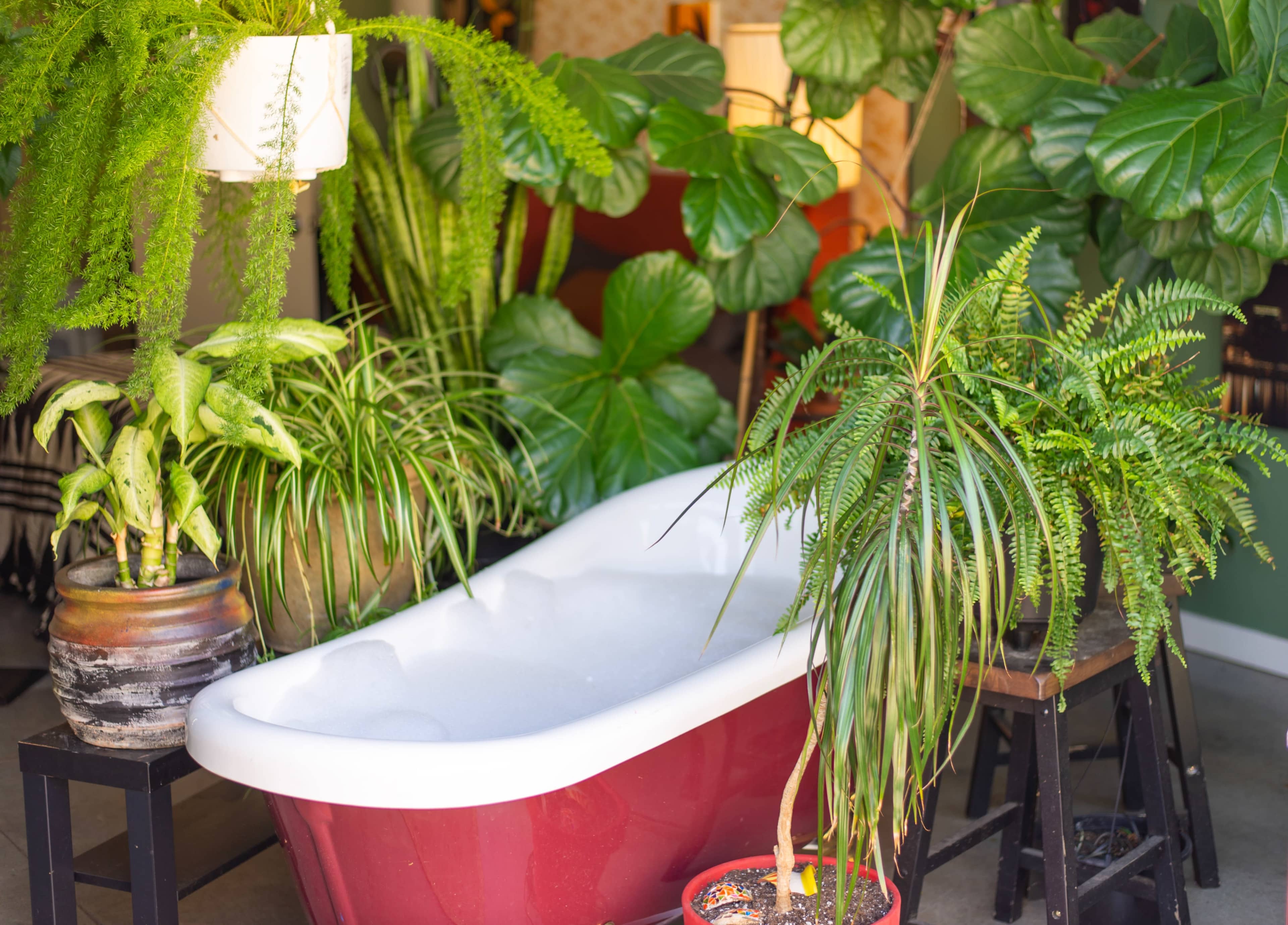 Green art living loft Image in East 14th Street Business District, Oakland, CA