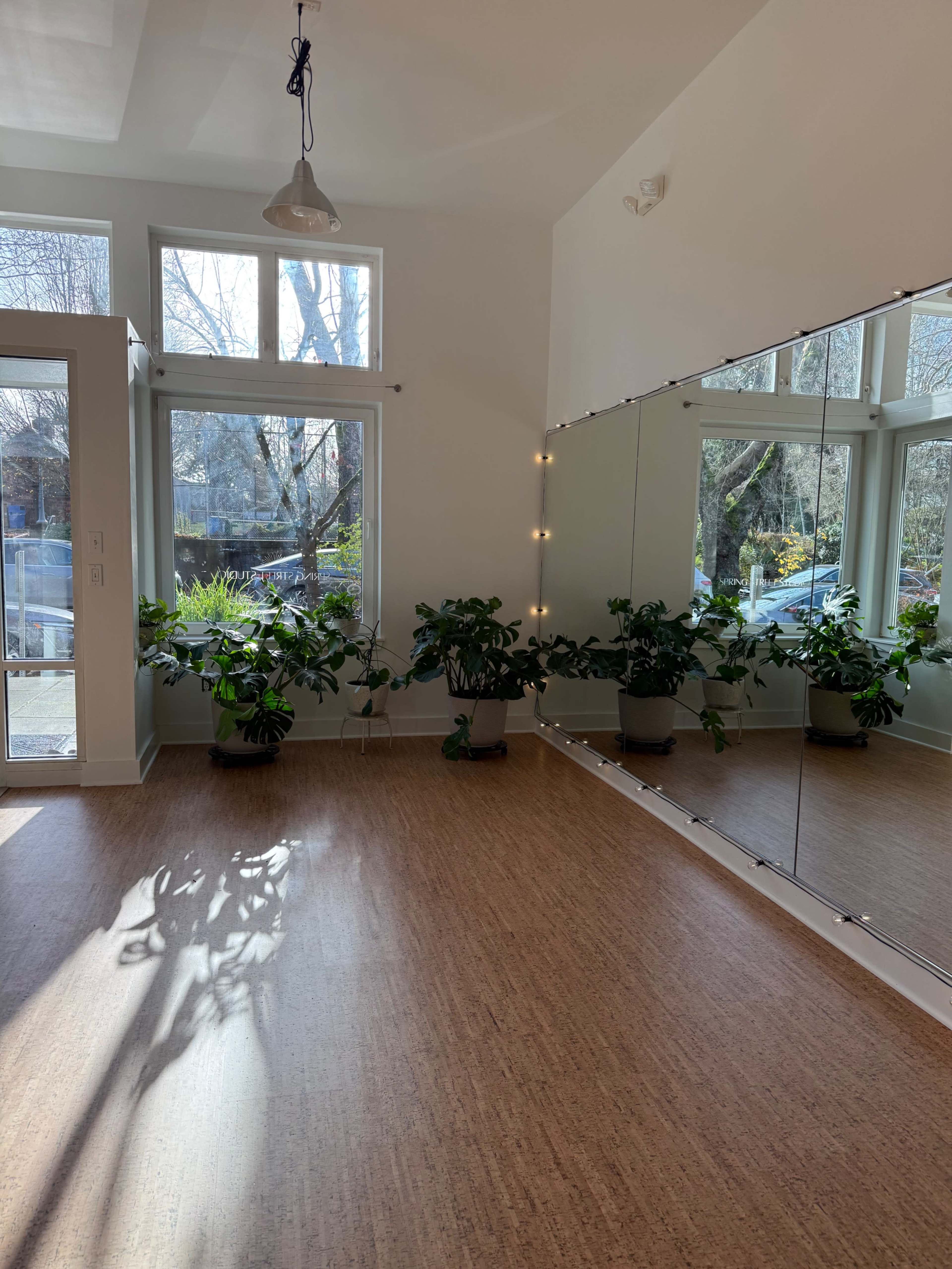 A bright and airy room featuring large windows, several potted plants, and a wall-mounted mirror reflecting the natural light.