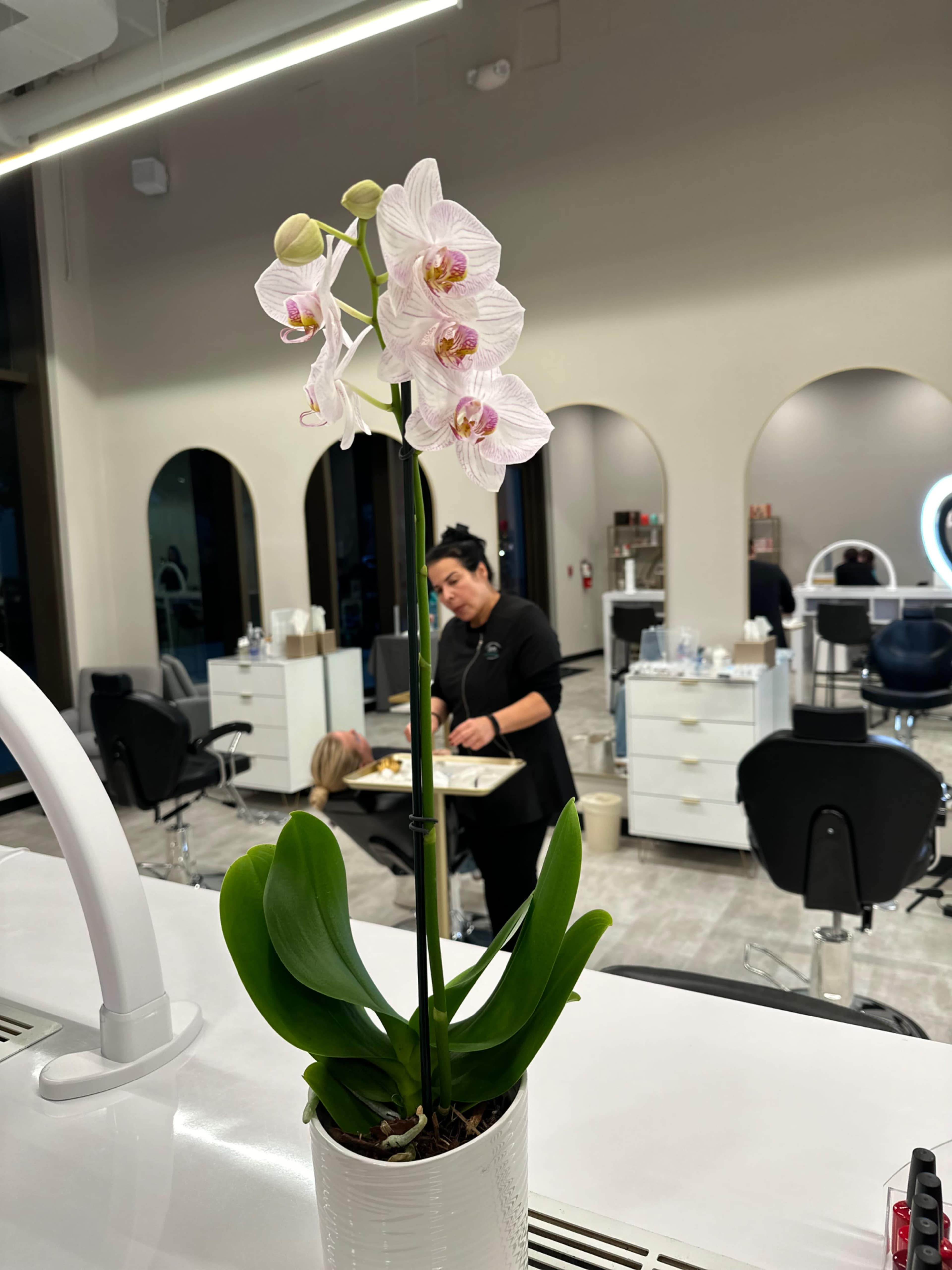 A white orchid grows in a pot on a counter while a woman works in the background of a modern salon.