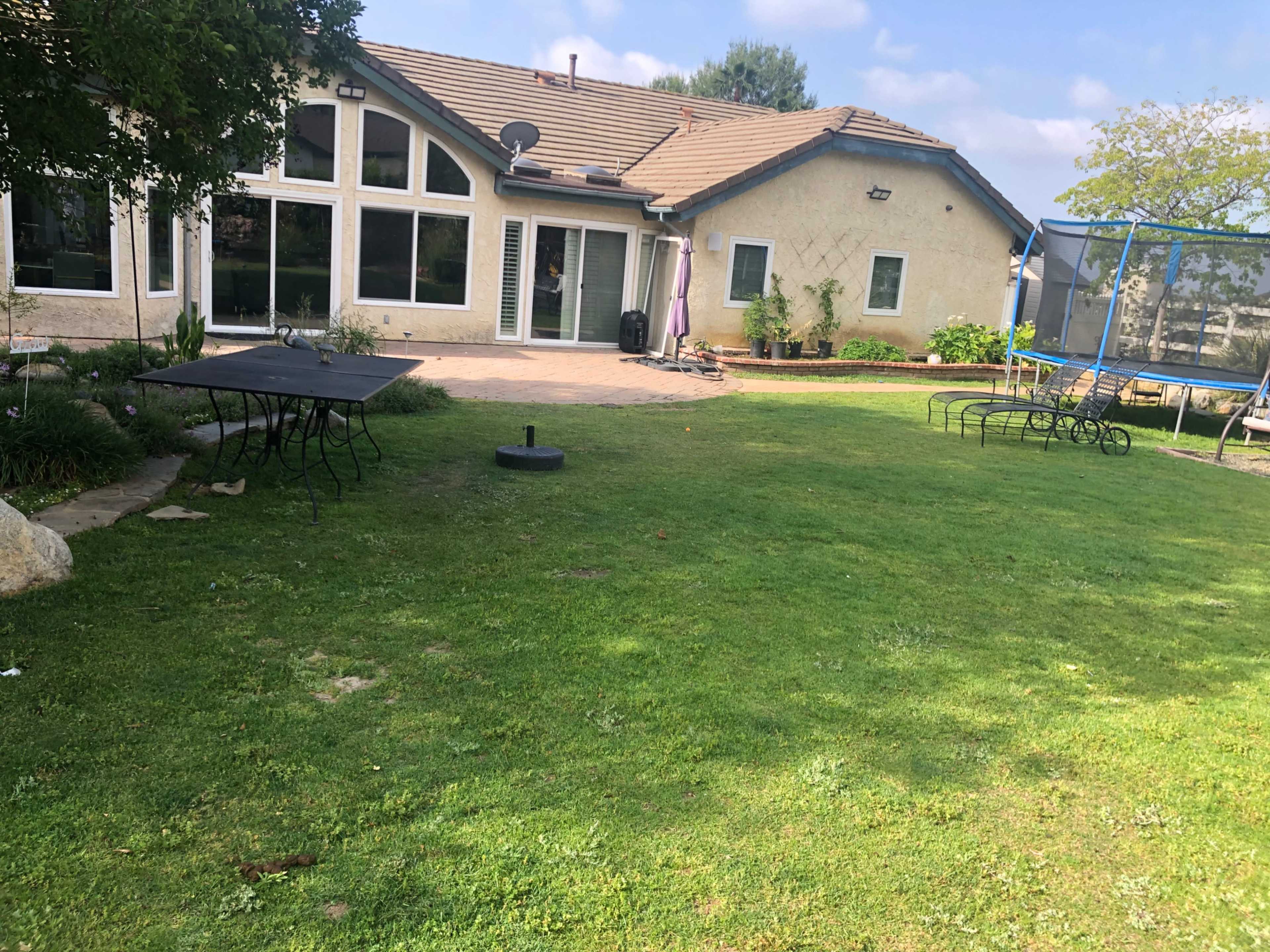 The image shows a spacious backyard with a grassy area, a patio, a house with large windows, and a trampoline in the corner.