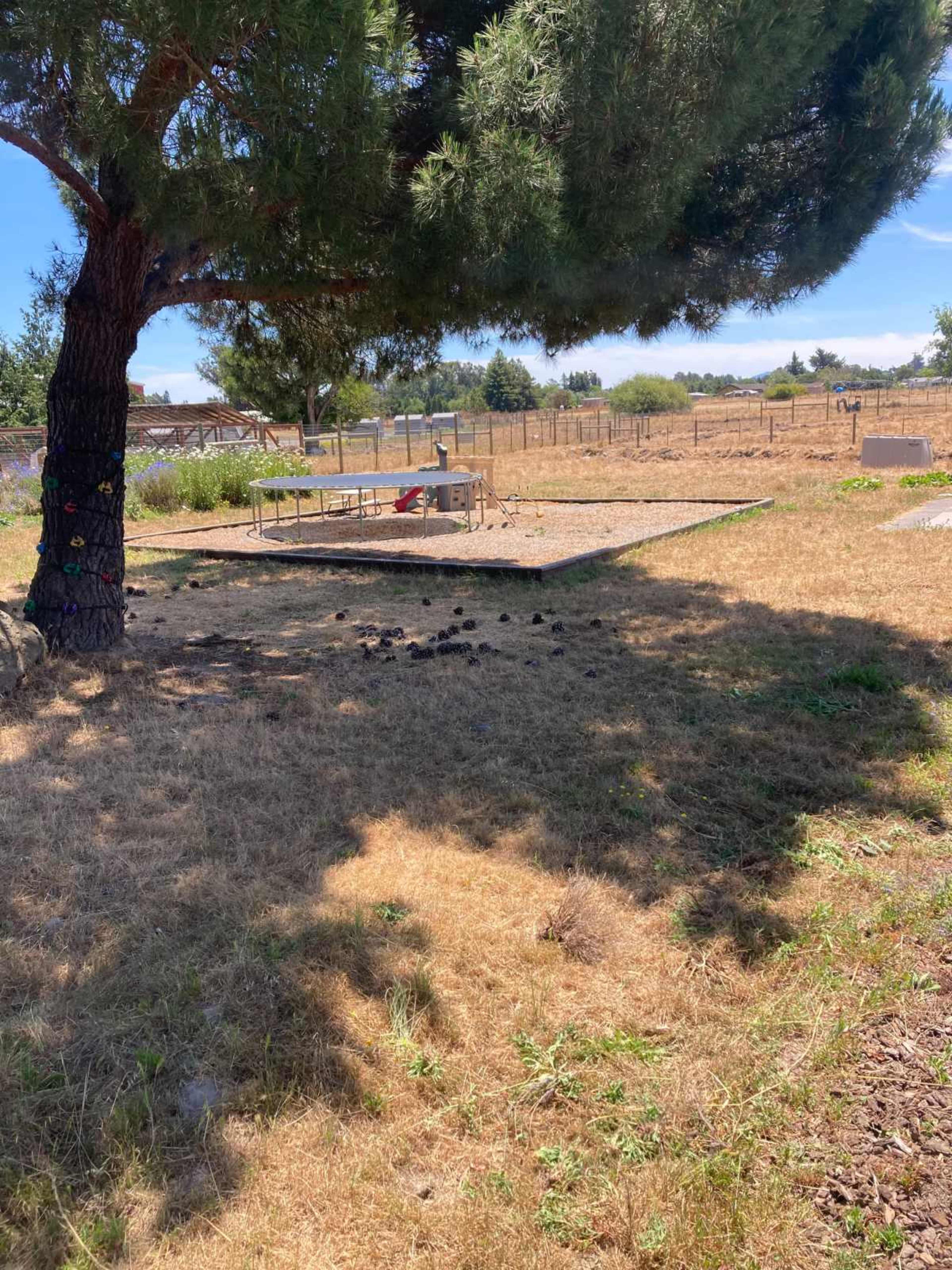 Functioning Farm with Outdoor Classroom & Kitchen Image in Penngrove, Penngrove, CA