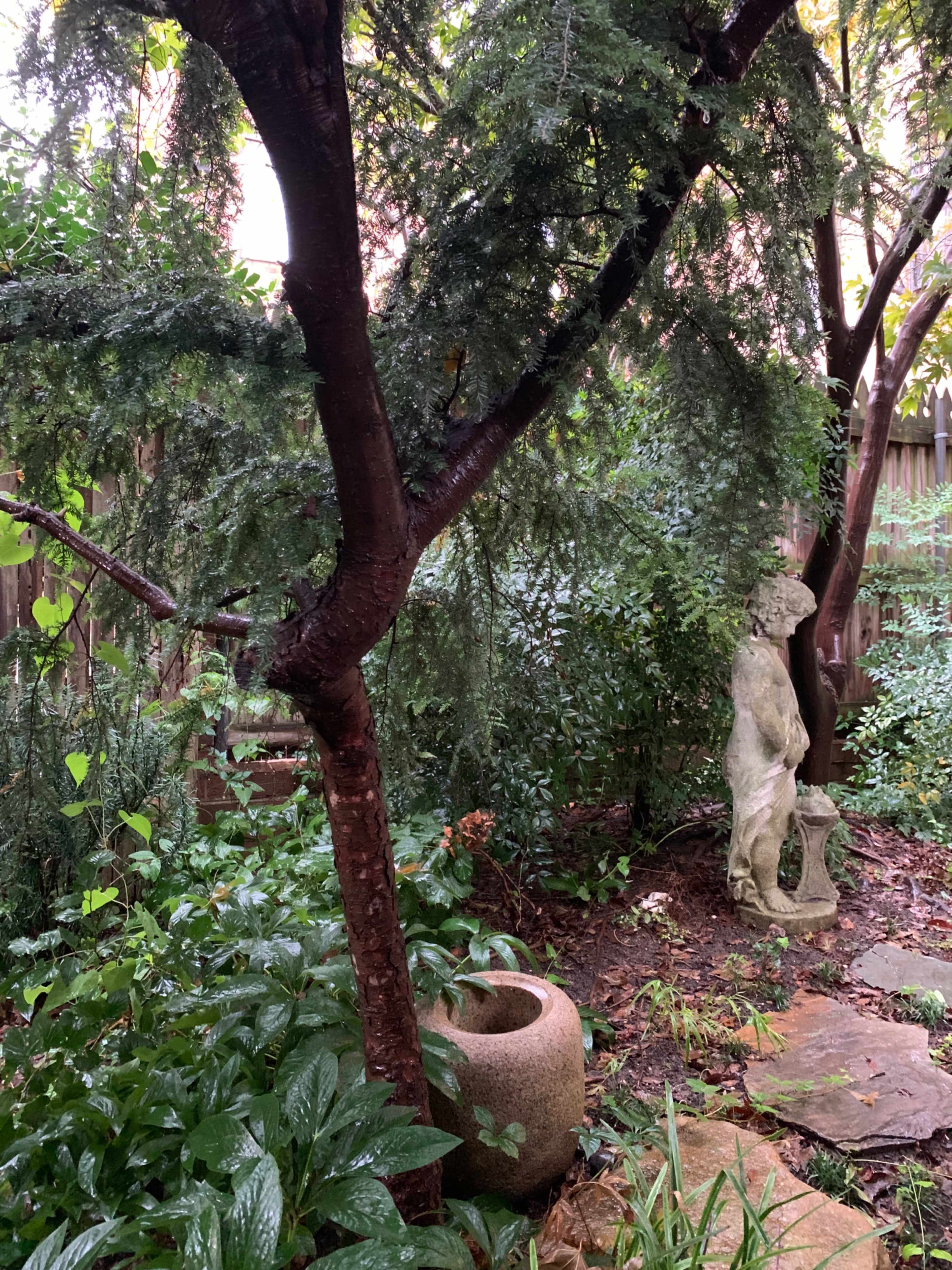 The scene features a lush garden with a stone statue partially obscured by greenery, a textured tree trunk, and a round stone planter.