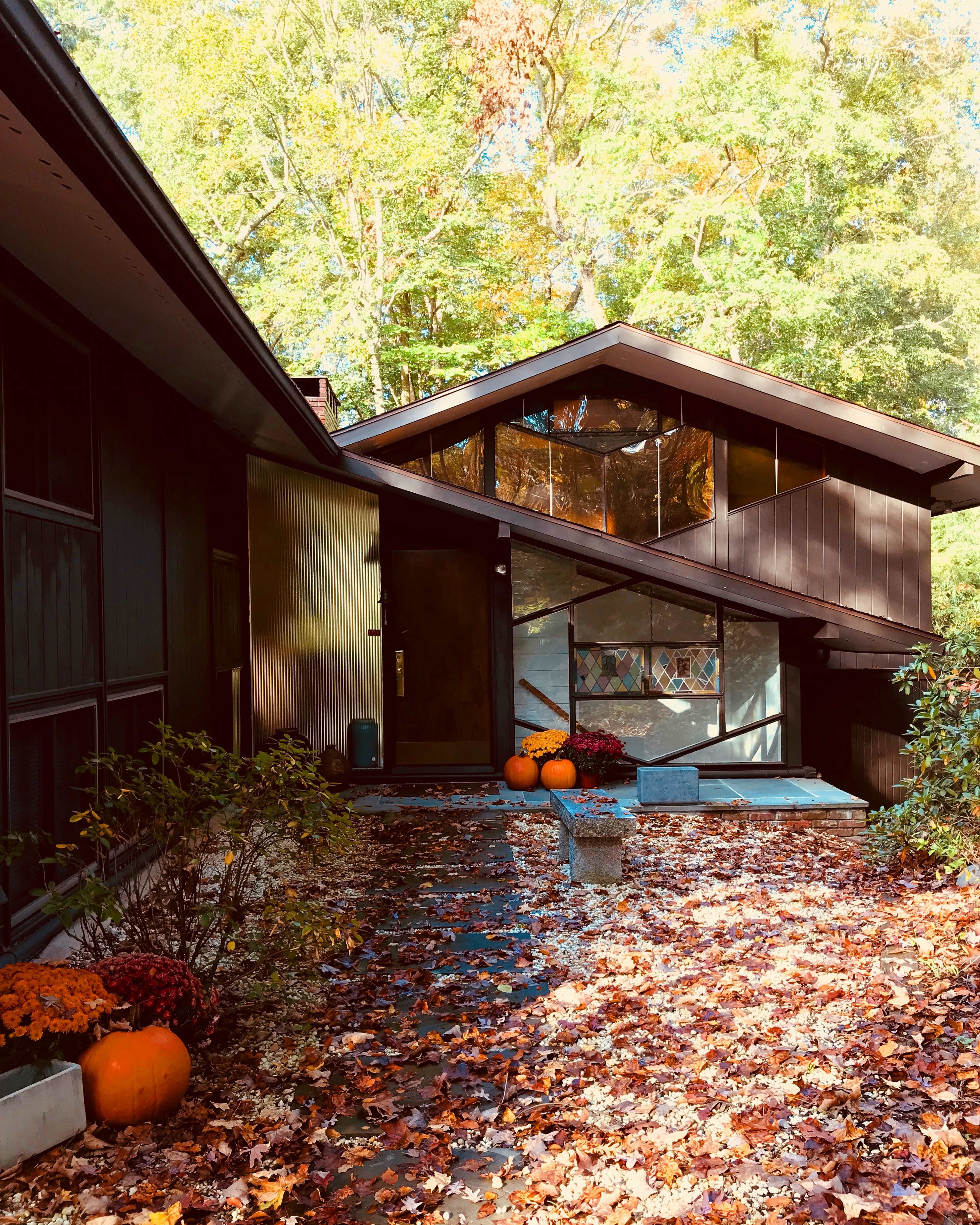A modern house with large windows is surrounded by colorful autumn leaves and features pumpkins and chrysanthemums at the entrance.