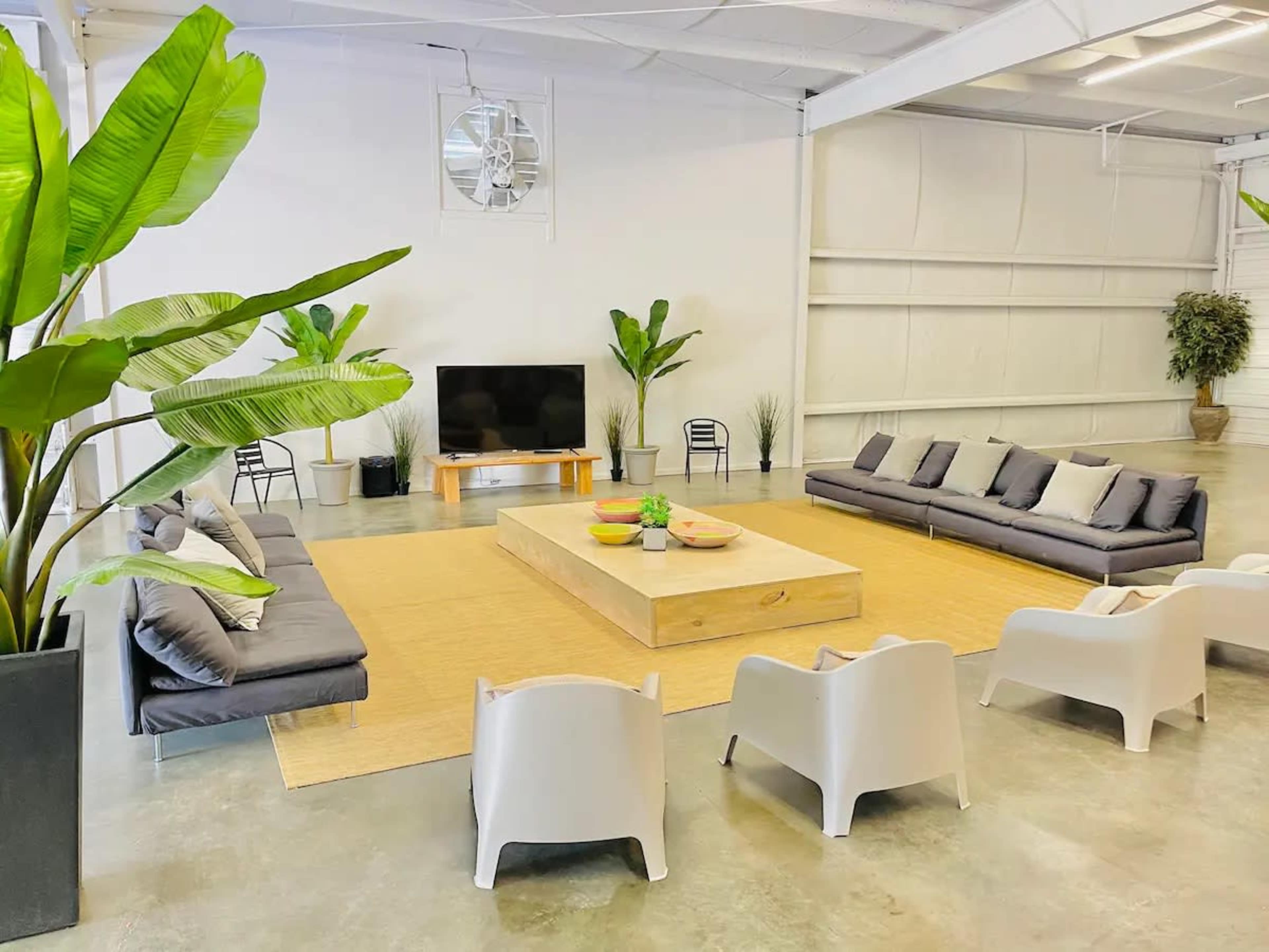 The image shows a spacious and modern lounge area with large plants, a central wooden coffee table, low seating arrangements, and a television on the wall.