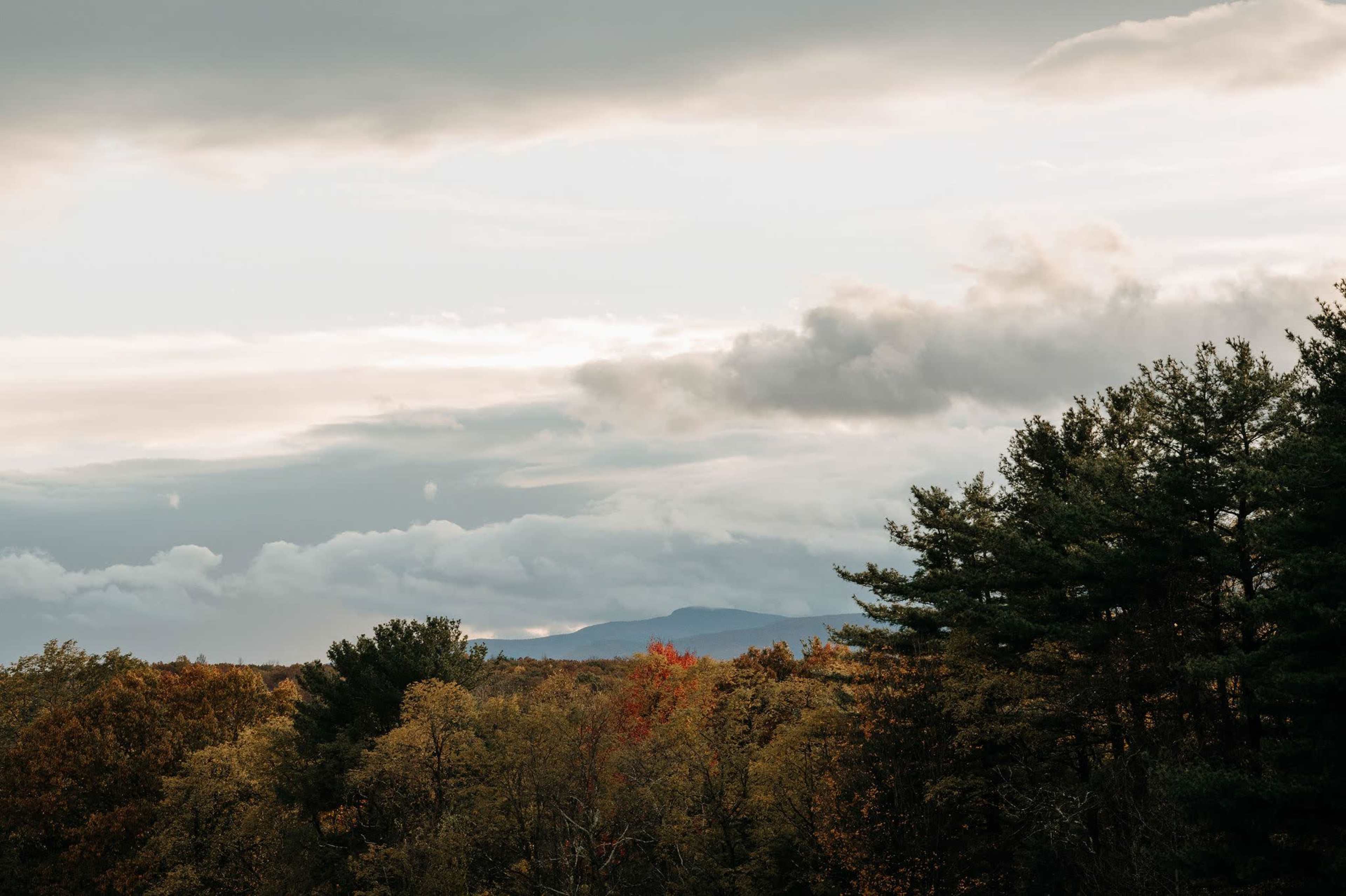 A landscape featuring a wooded area with trees in varying shades of green and a hint of autumn color, under a cloudy sky with distant mountains visible.