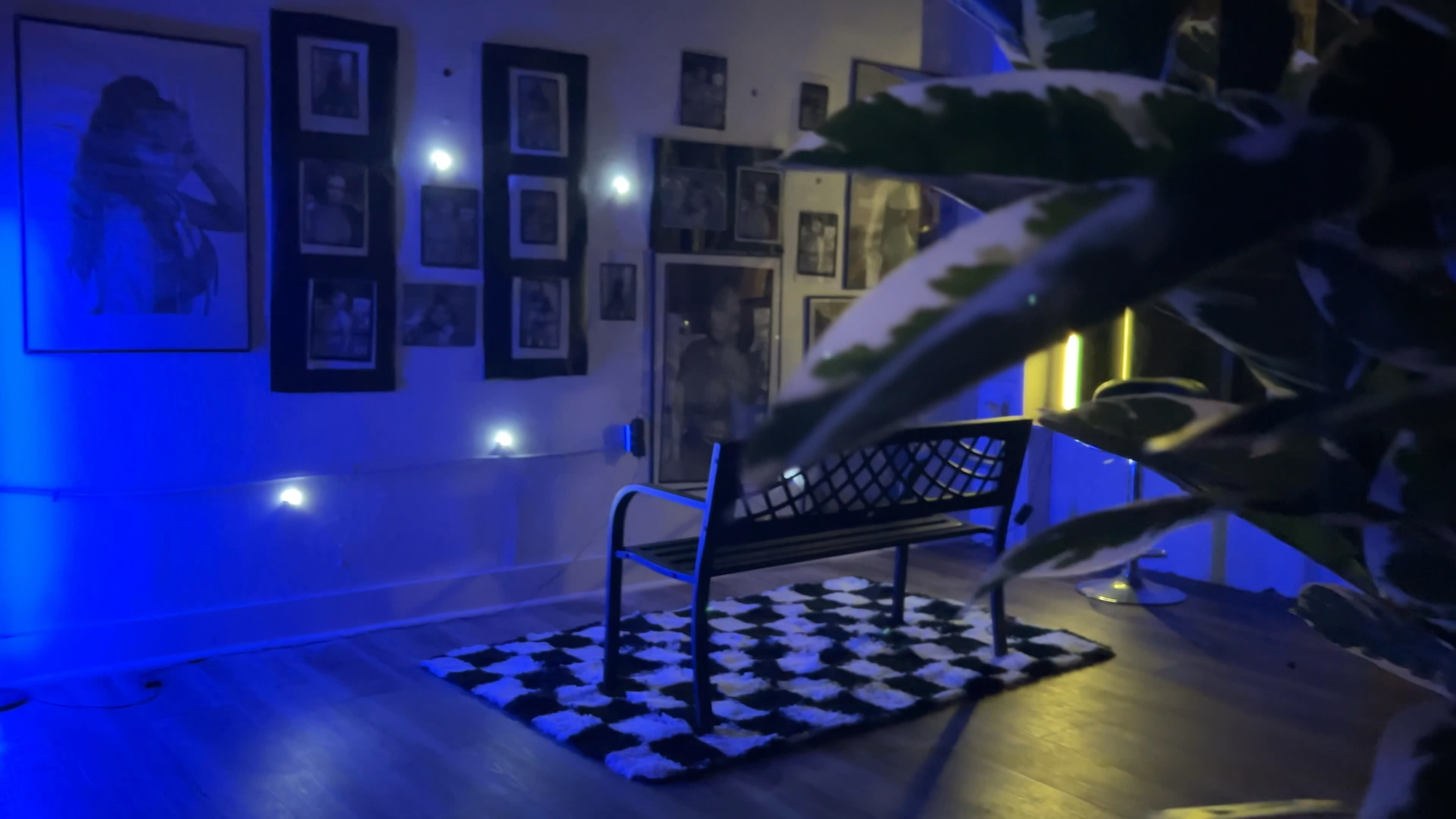 A black and white checkered rug is placed on a wooden floor in a room with blue lighting, featuring a bench and a wall adorned with framed photographs.