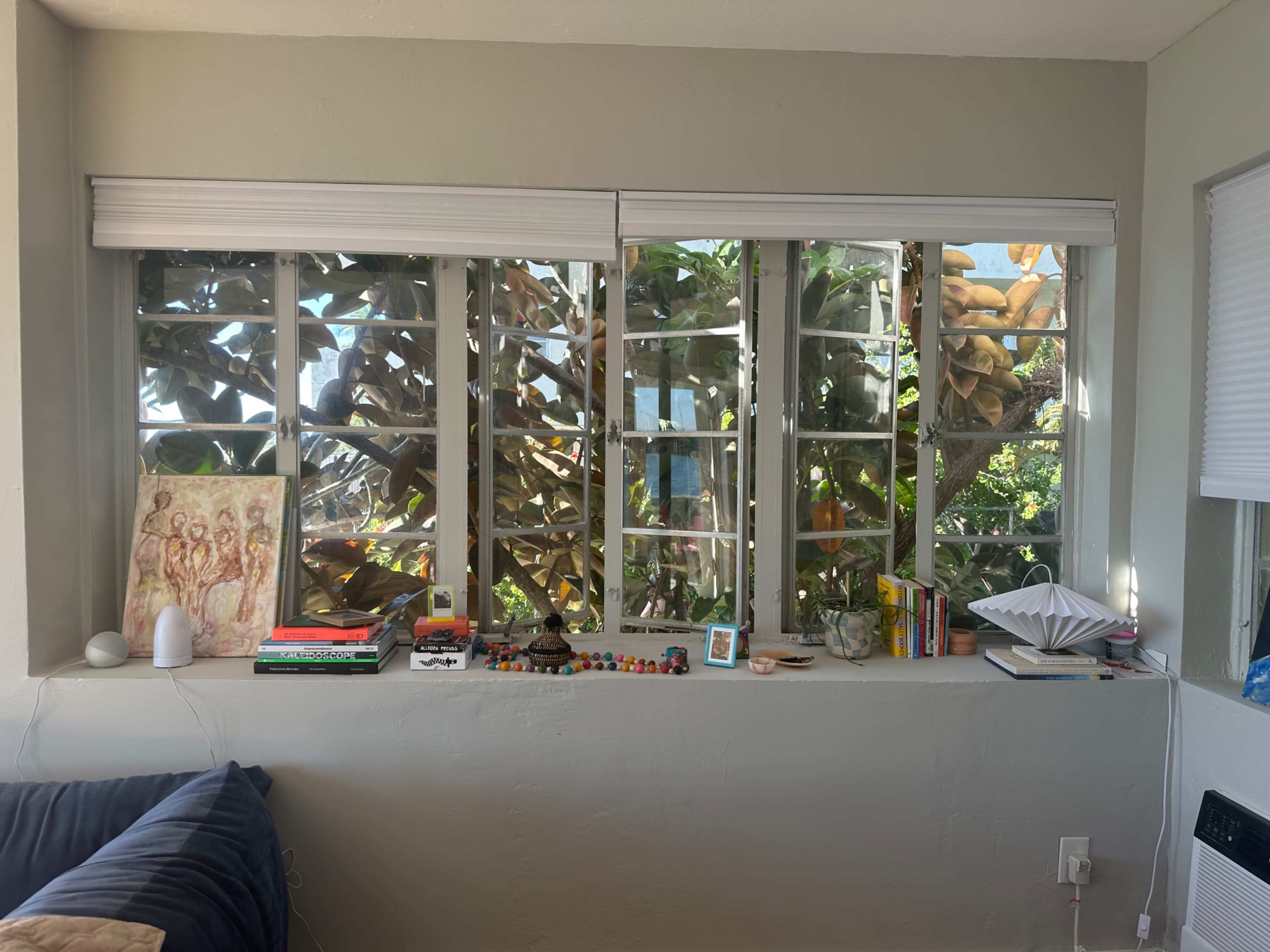 The image shows a window with multiple panes, framed by green leaves outside, and a shelf below it displaying various books, a small sculpture, and decorative items.