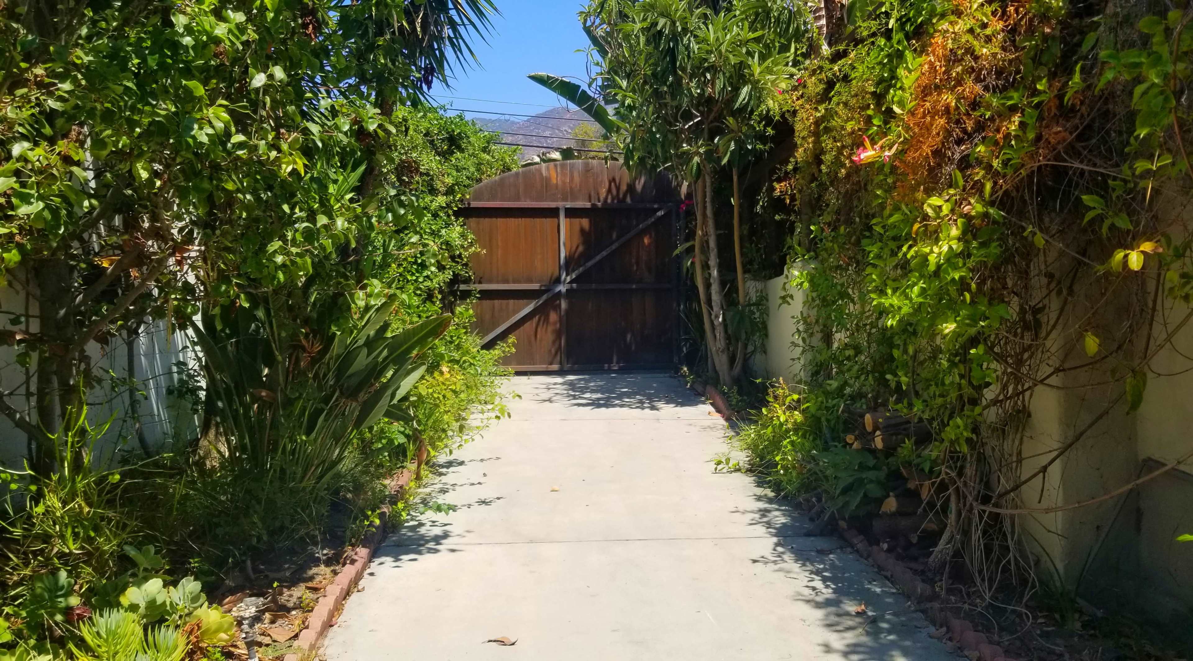 The scene features a concrete pathway flanked by lush greenery leading to a wooden gate at the end.