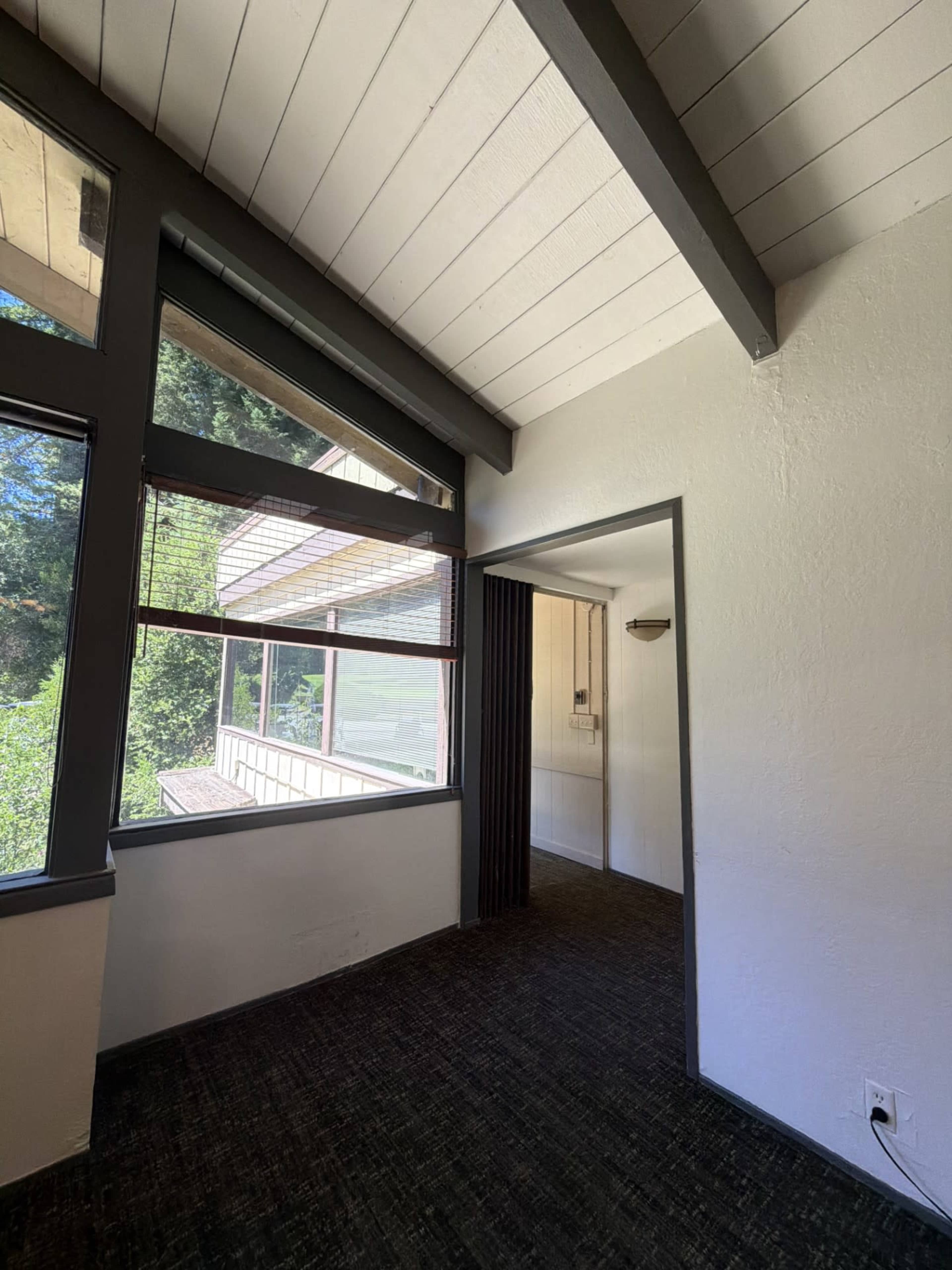 The image shows a sunlit room with a high wooden ceiling and large windows overlooking a green outdoor area.