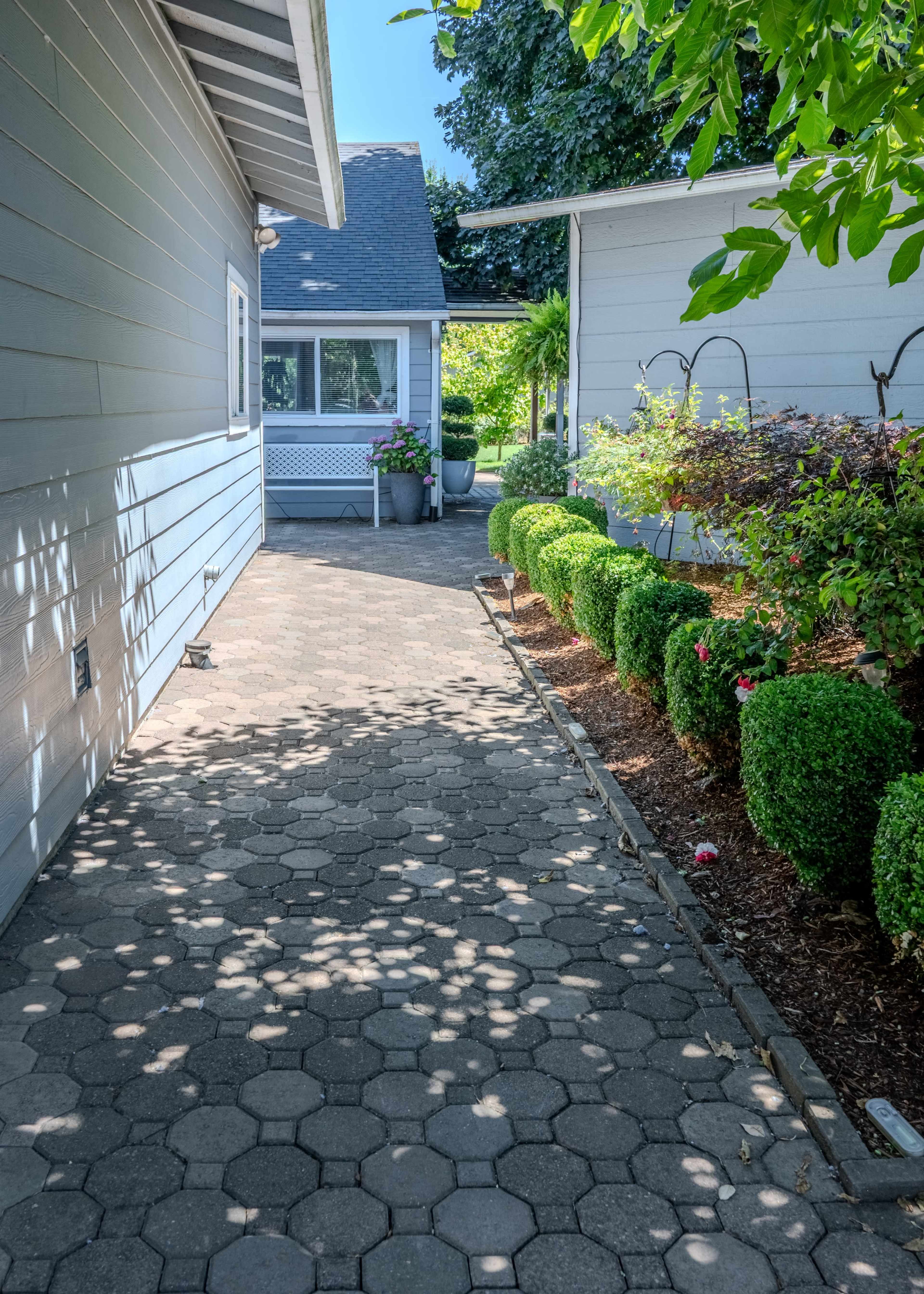 A paved walkway lined with neatly trimmed hedges runs between two houses, leading towards a garden filled with greenery.