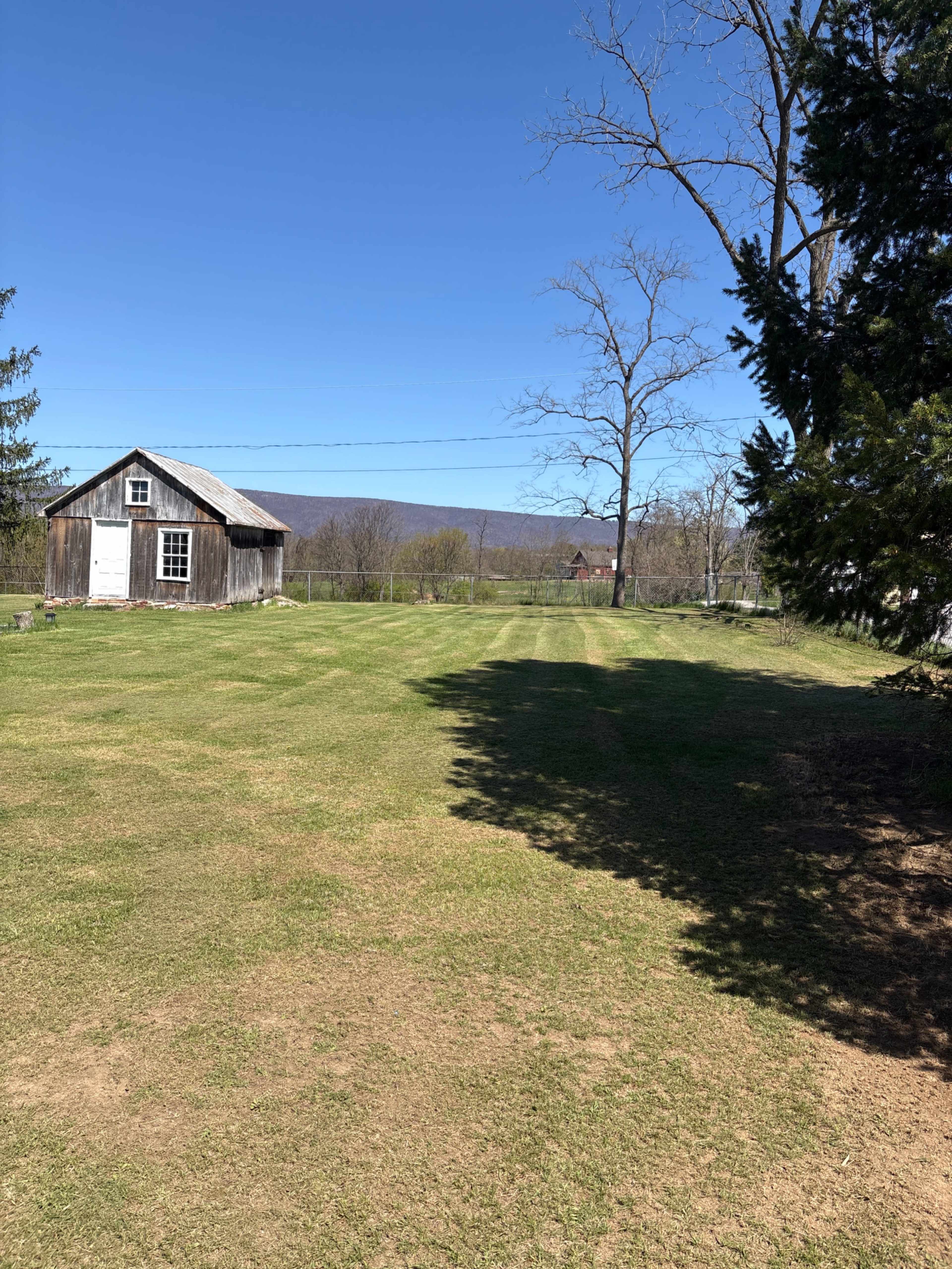 The Vintage Vines Image in Newburg, Newburg, PA