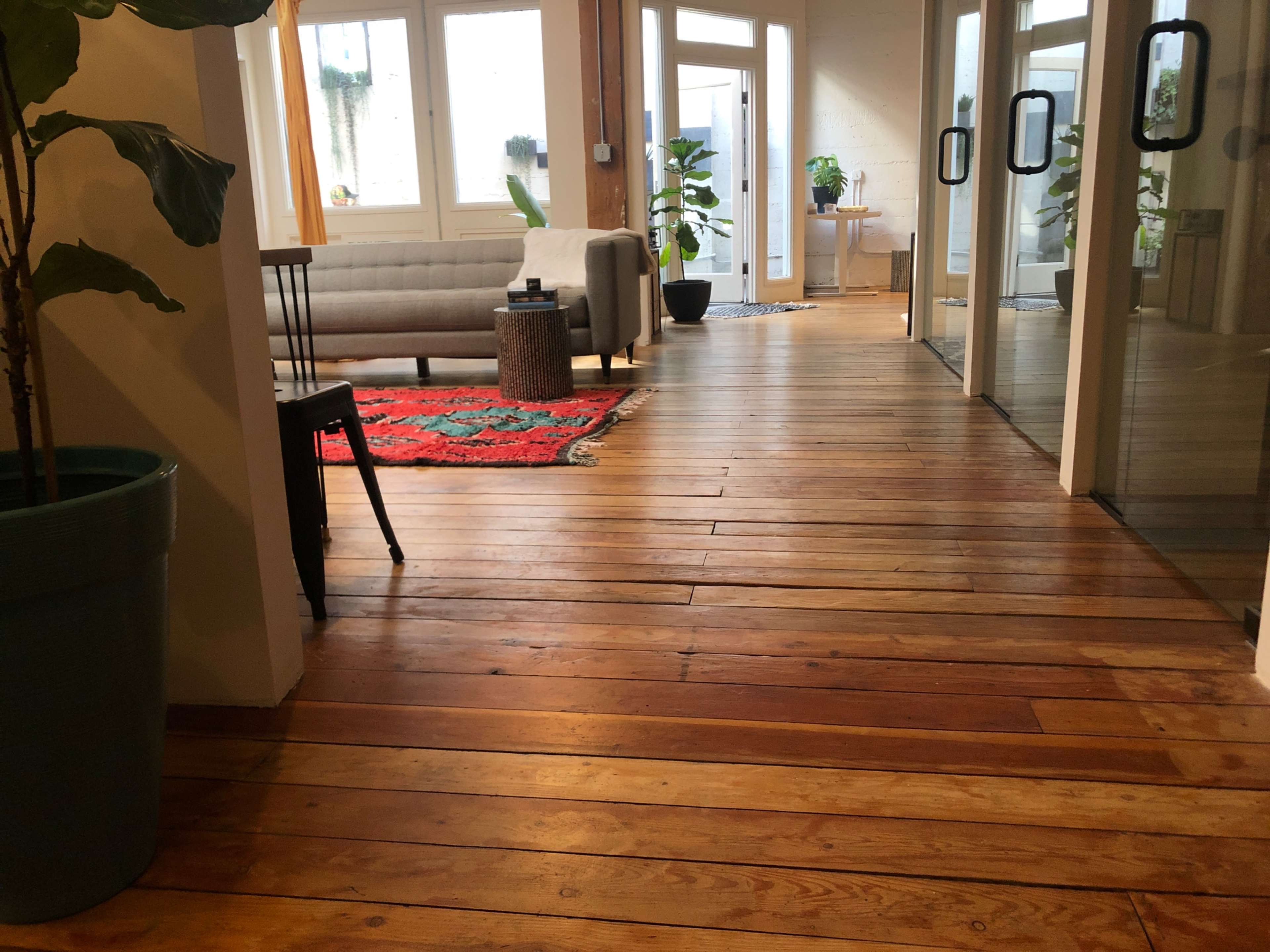 A wooden-floored hallway leading to glass doors, with a sofa, a rug, and potted plants.