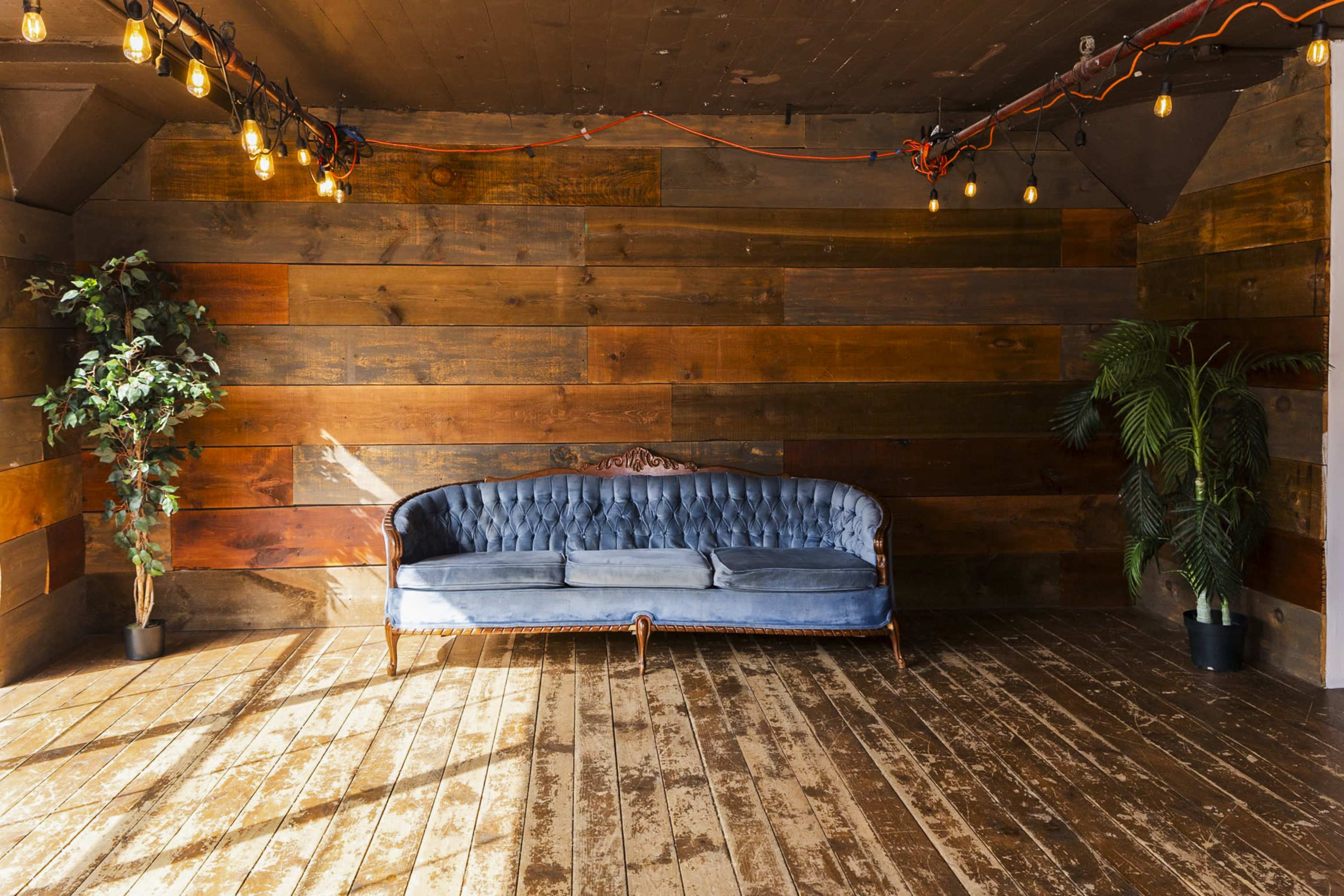 A blue velvet couch positioned against a wooden paneled wall, with exposed light bulbs hanging from the ceiling and potted plants in the corners.