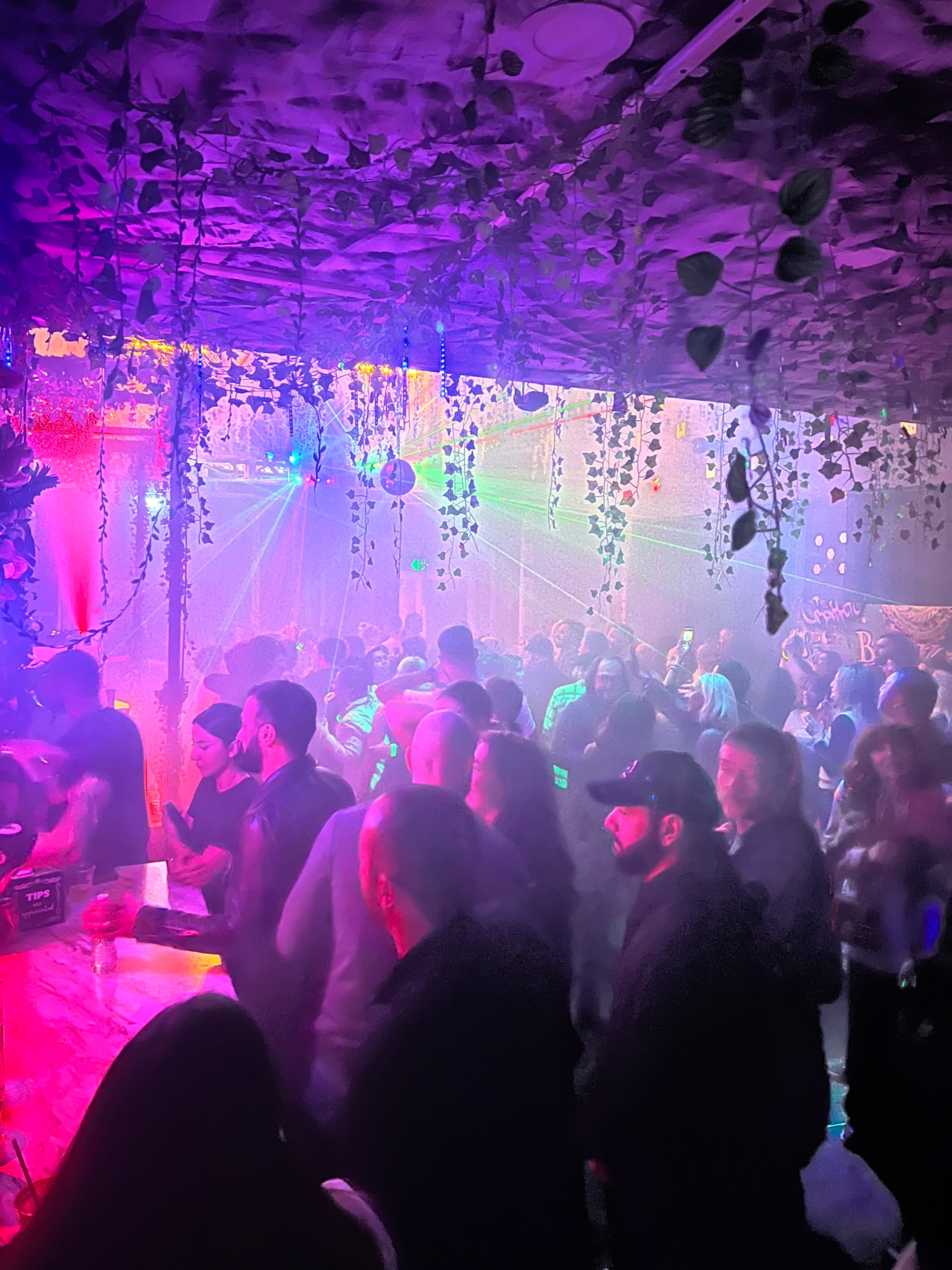 BROOKLYN BURJ -  JUNGLE THEME ,DREAMY EVENT AND PERFORMANCE VENUE Image in Crown Heights, Brooklyn, NY
