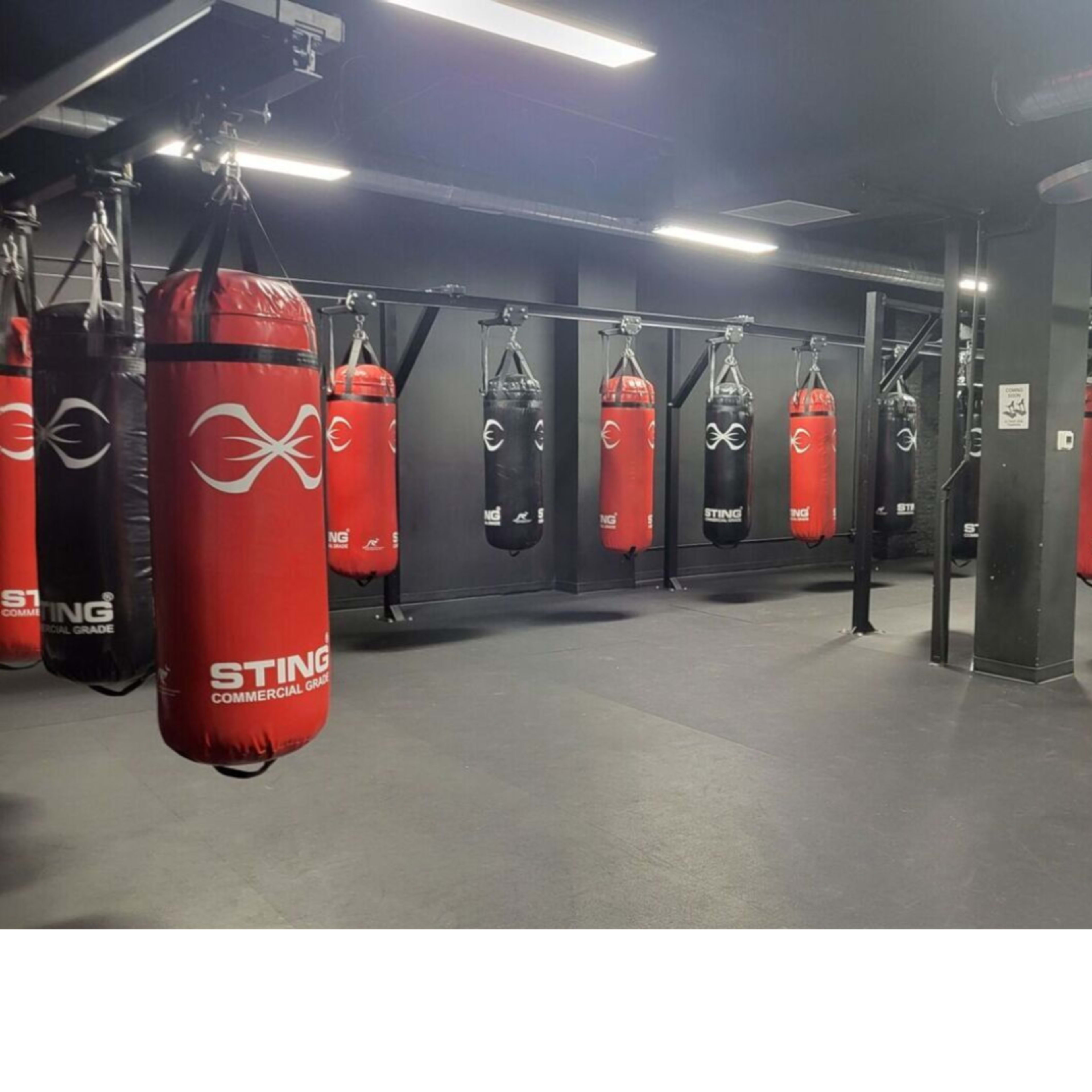Boxing Gym Long Island City Image in Astoria, Long Island City, NY