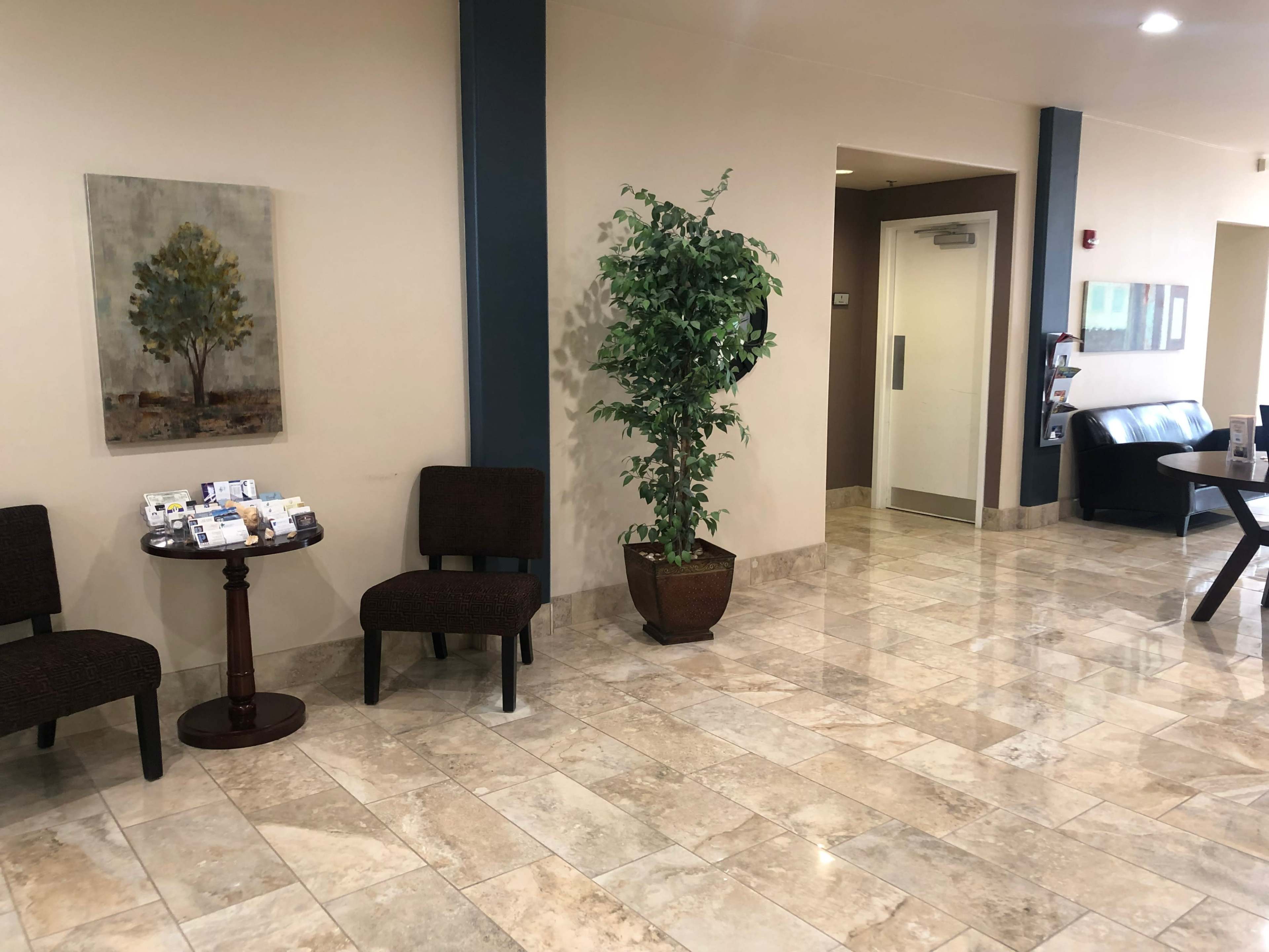 A waiting area featuring two chairs, a small table with brochures, a potted plant, and a nearby couch against a wall.
