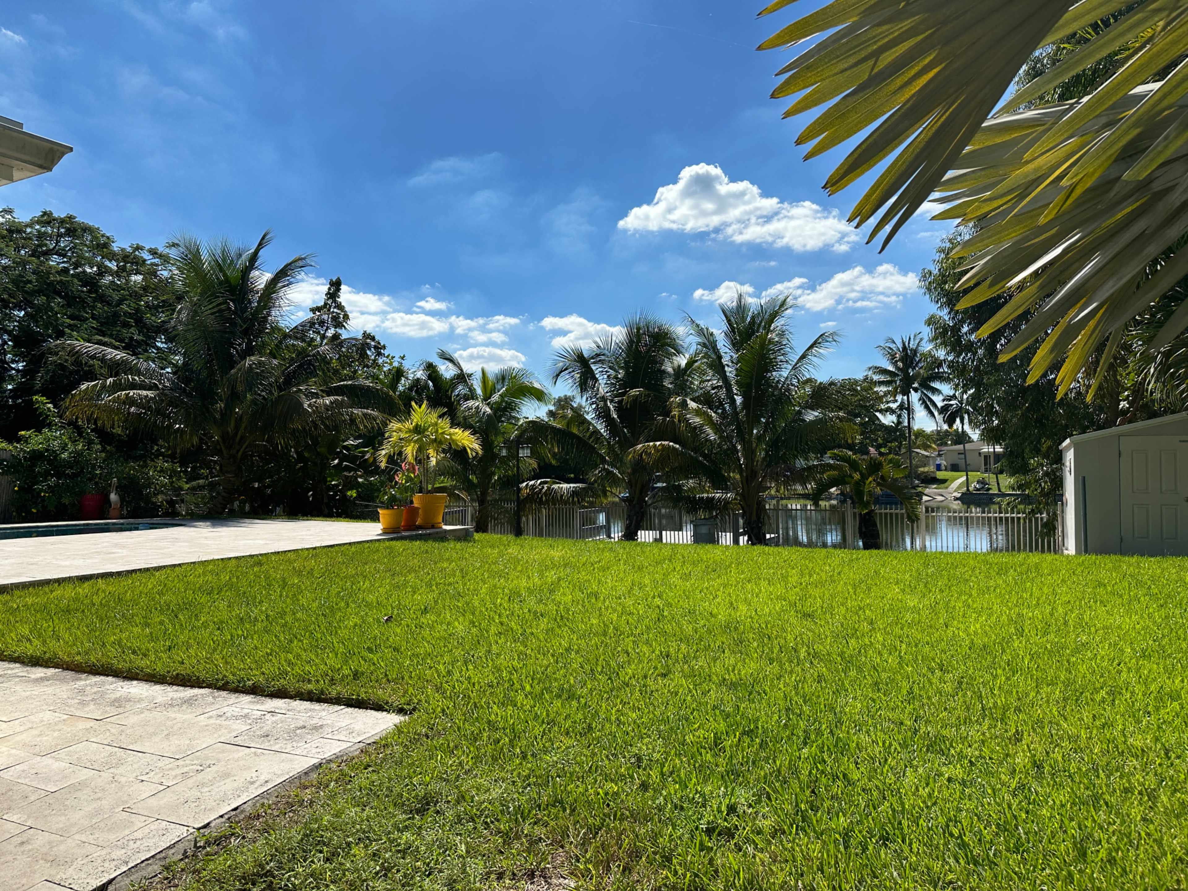 A grassy backyard with palm trees surrounding a patio area and a view of a body of water in the background.