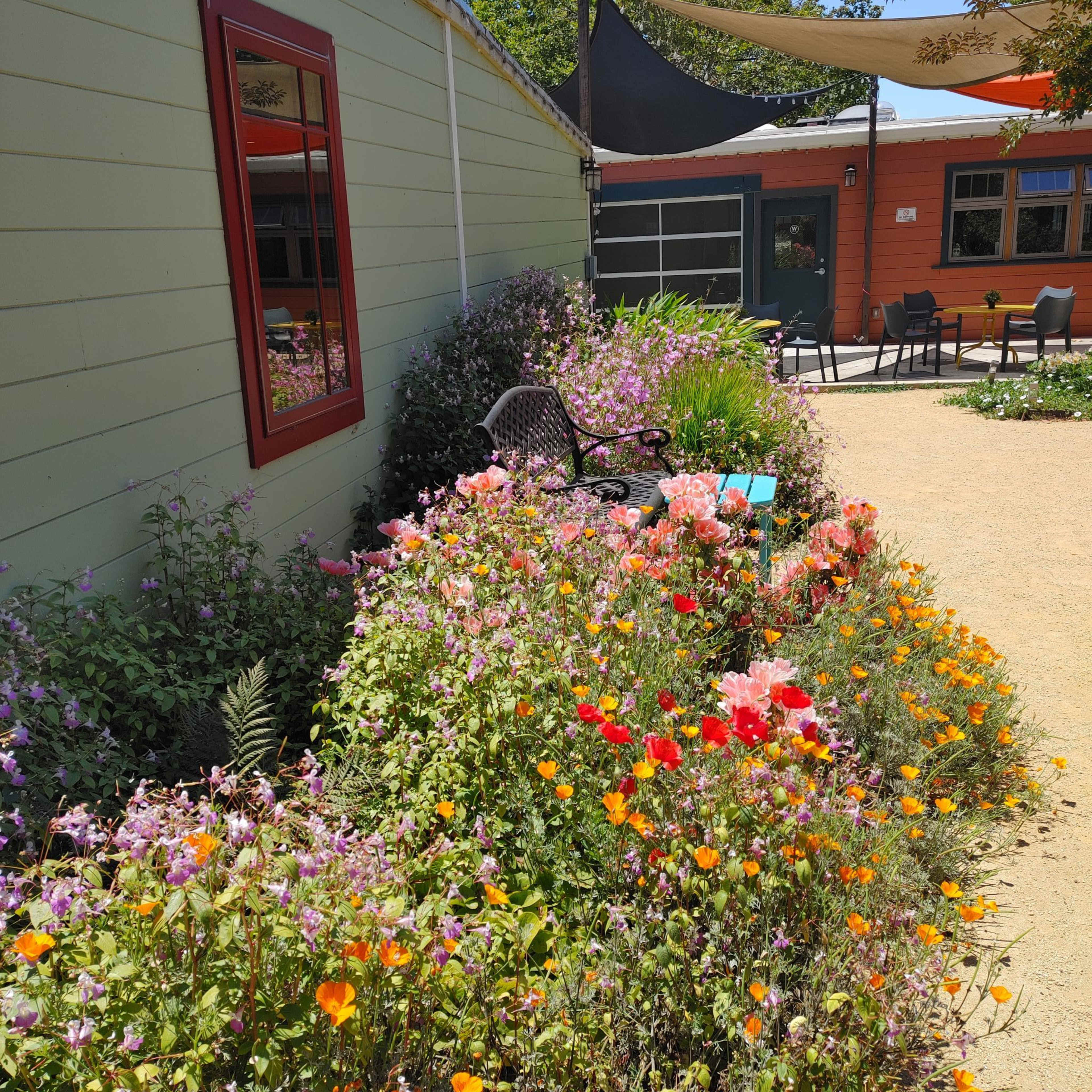 A garden filled with colorful flowers lines a pathway beside a wooden building, which features a mirror and a shaded seating area.