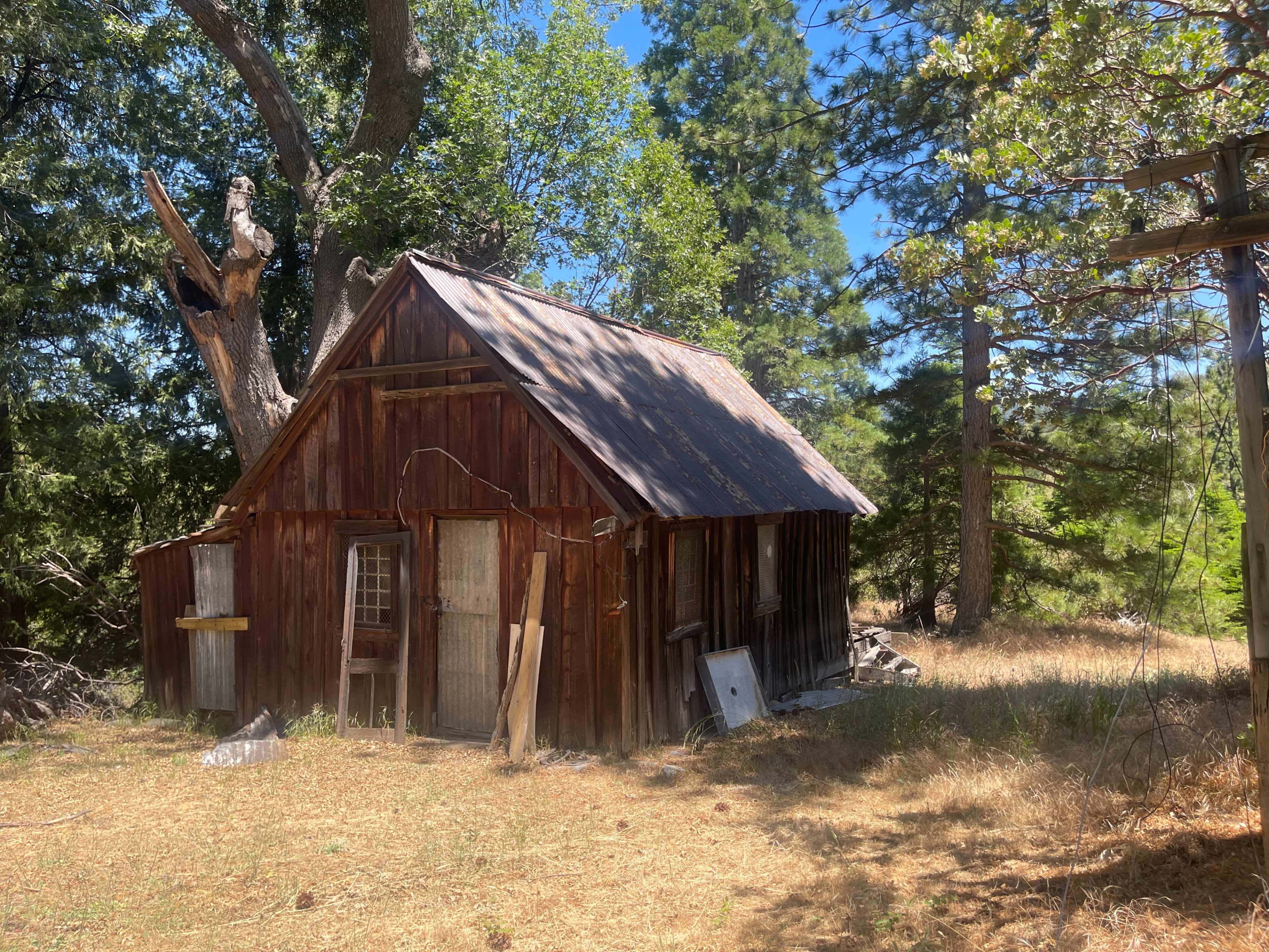 A weathered wooden cabin stands amidst tall trees and dry grass.