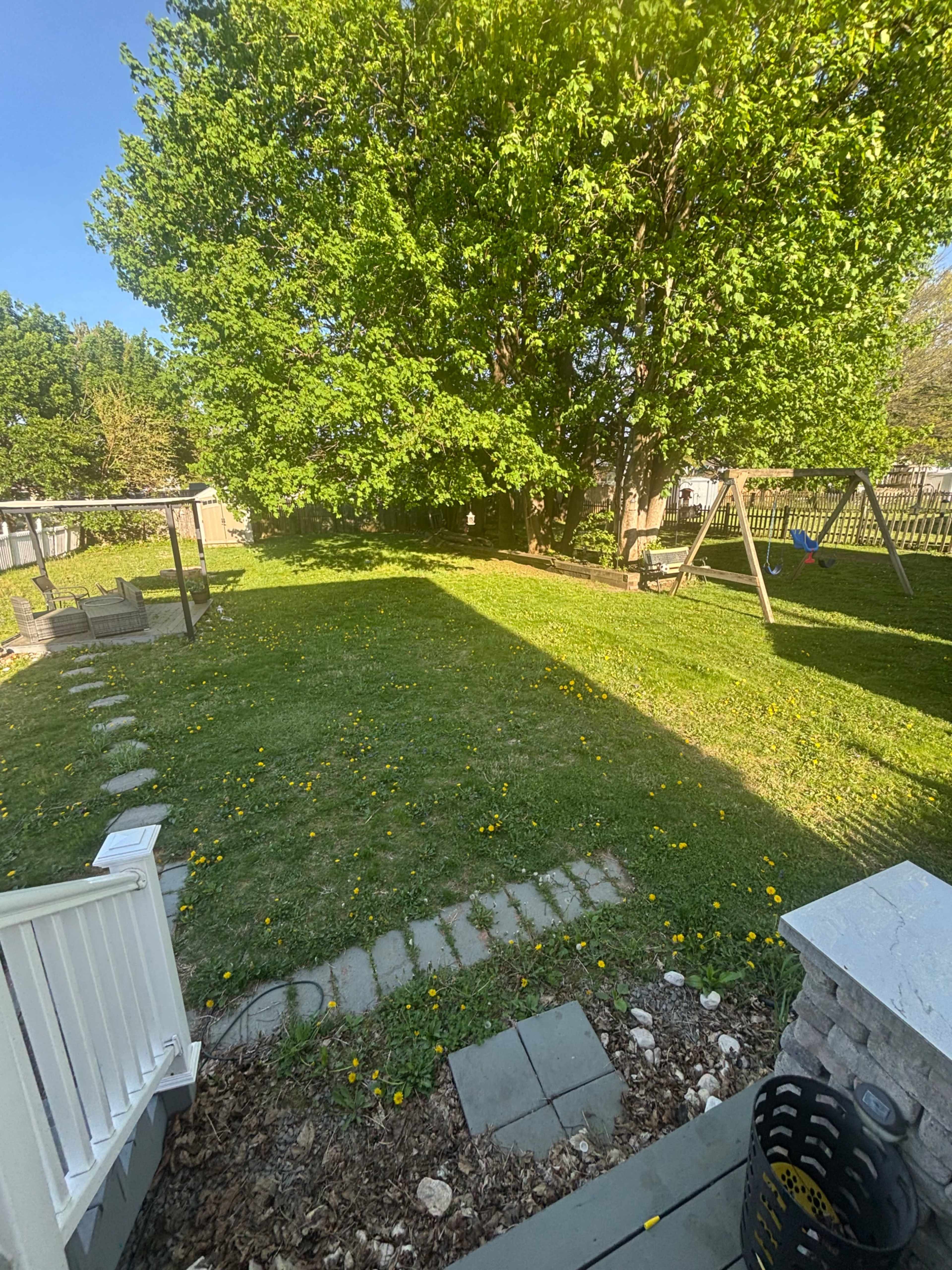 Urban/Suburban Very large private yard with lots of natural light and beautiful trees. Image in South Side, Easton, PA