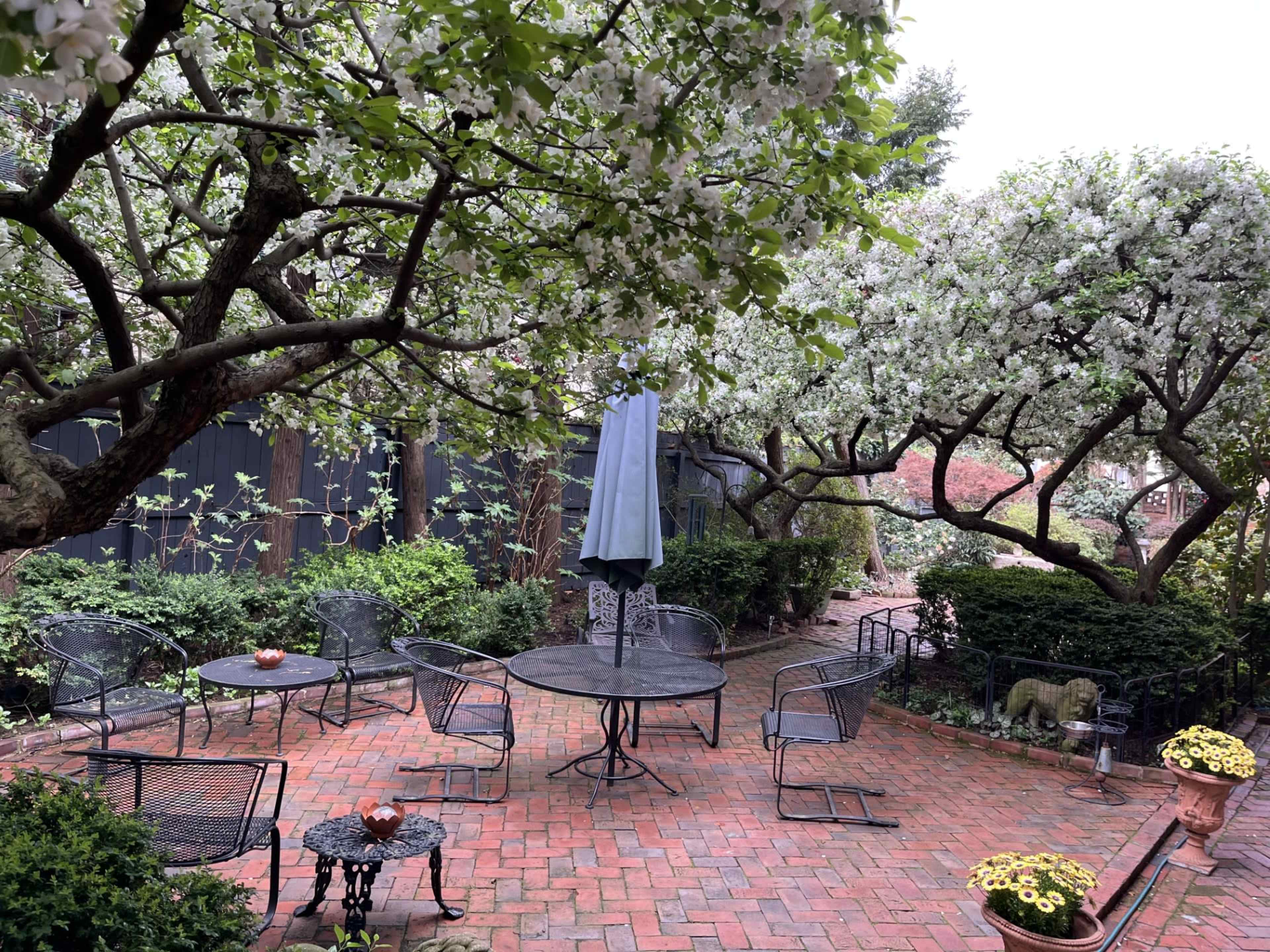 Large garden of grand 18th century home in Old Town Image in Old Town, Alexandria, VA