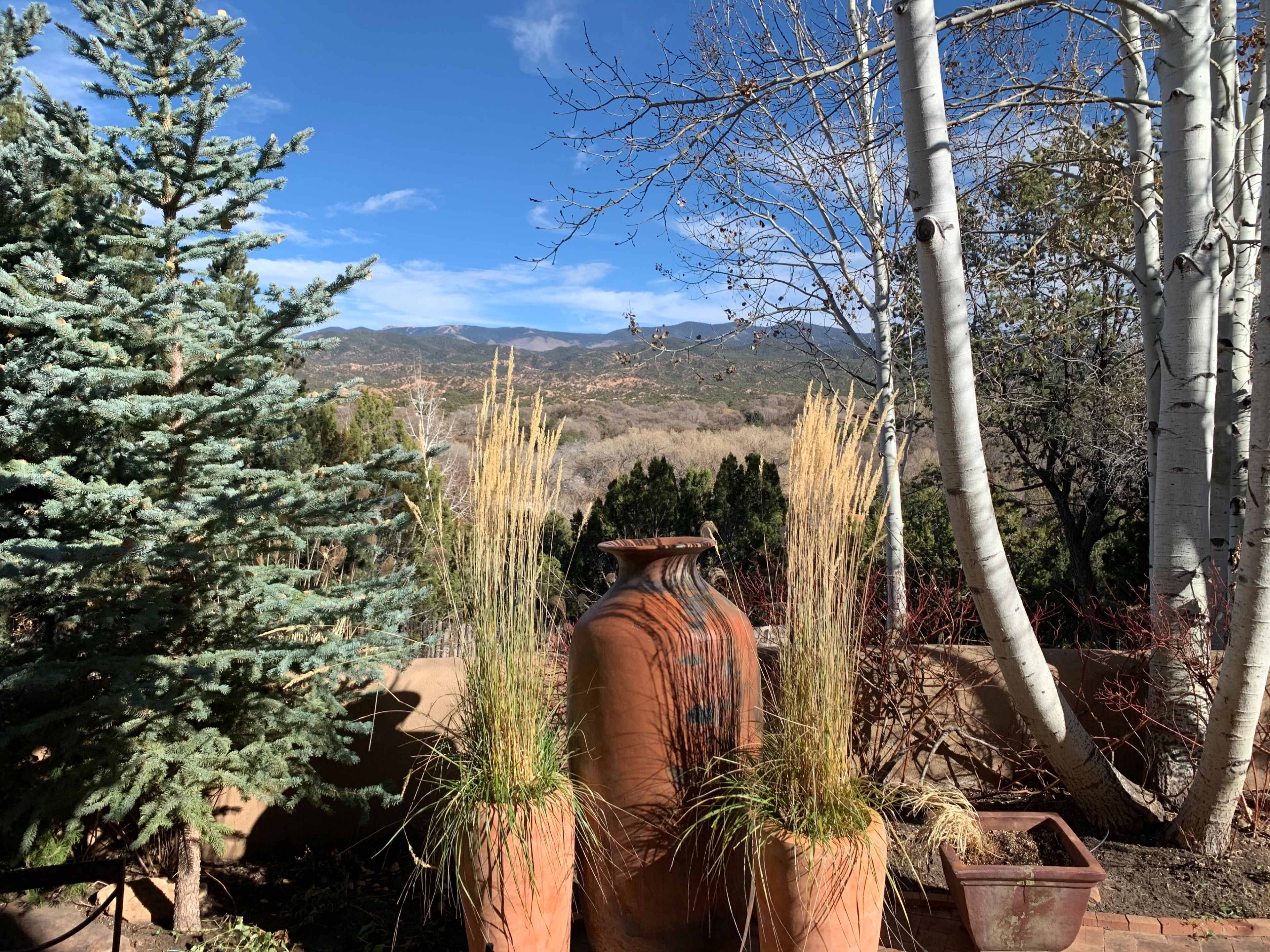A brown clay pot surrounded by tall grass, with evergreen and aspen trees in the background and mountains in the distance under a blue sky.
