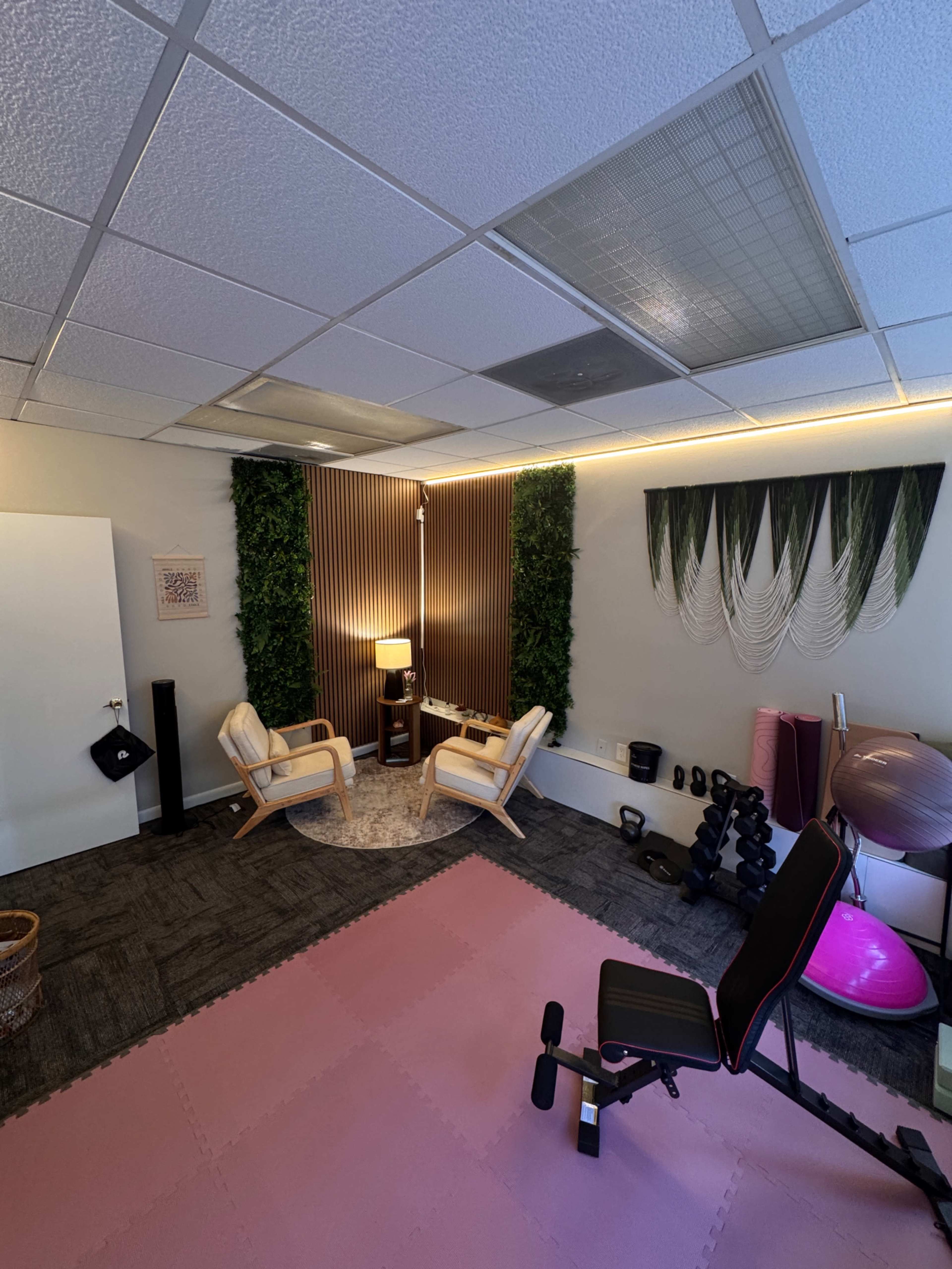Modern Wellness & Movement Studio | Natural Light | Somatic Space Image in Northwest Tampa, Tampa, FL