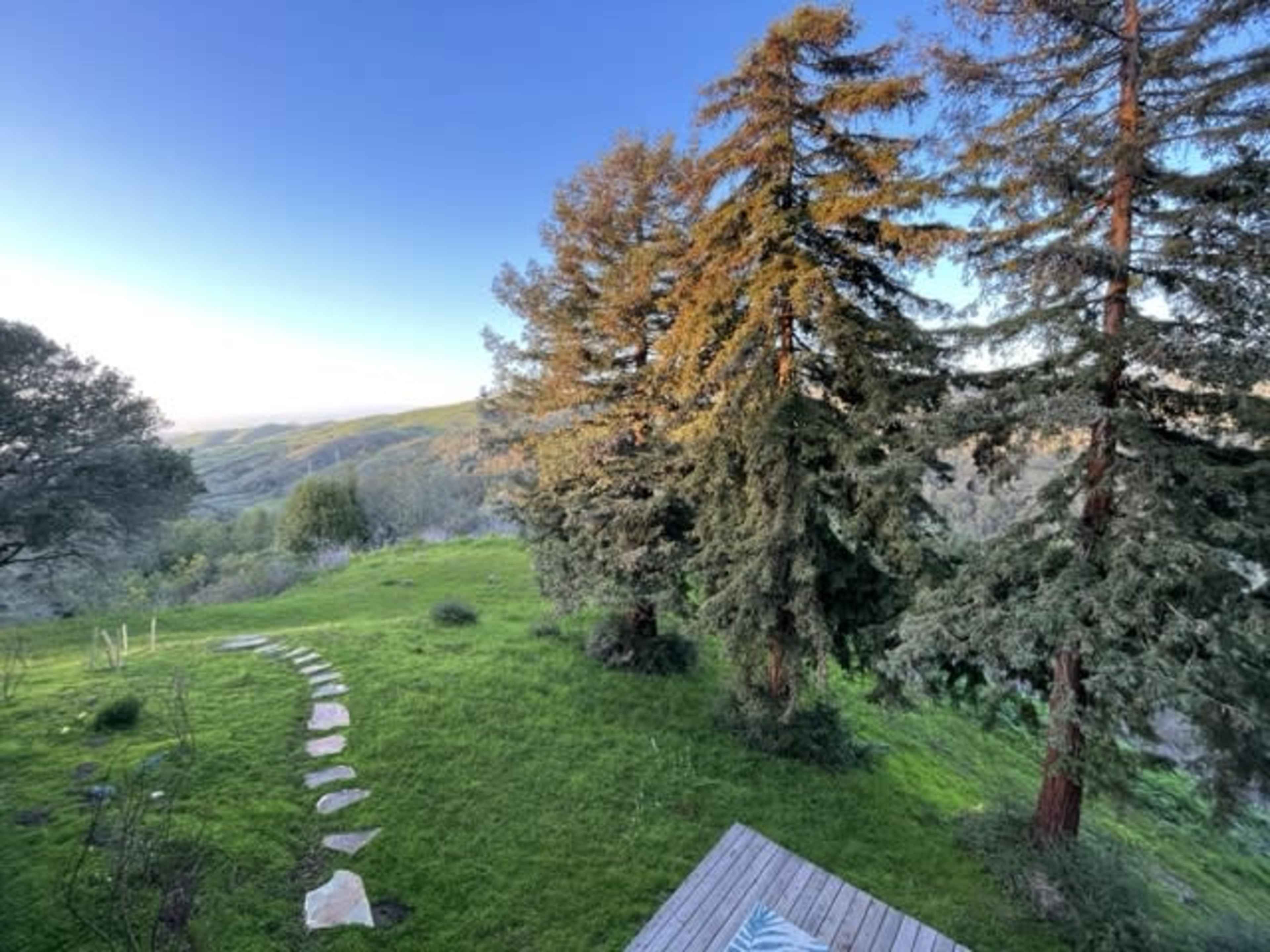 A grassy landscape with a stone pathway leading through trees, overlooking rolling hills in the distance.