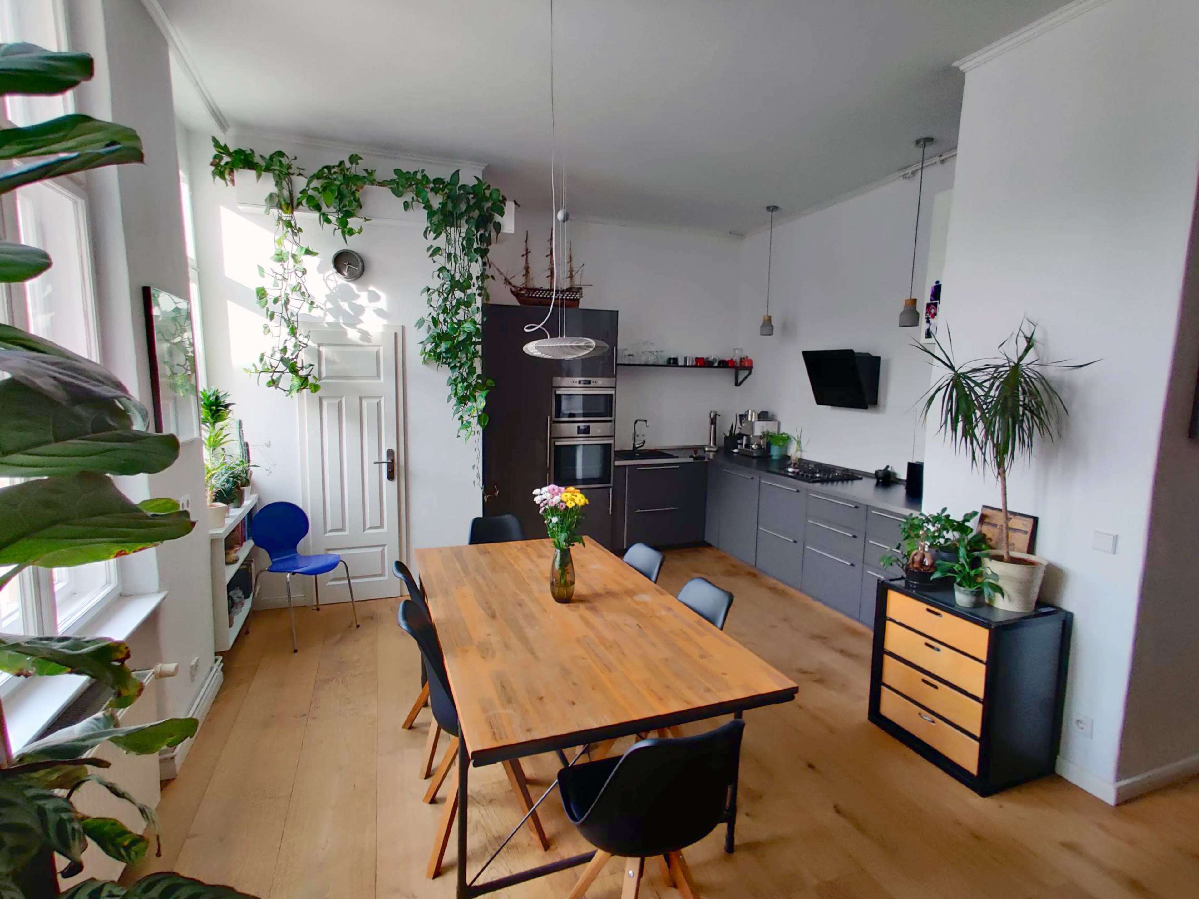 A modern kitchen and dining area featuring a wooden table surrounded by black chairs, with plants adorning the walls and various kitchen appliances visible.