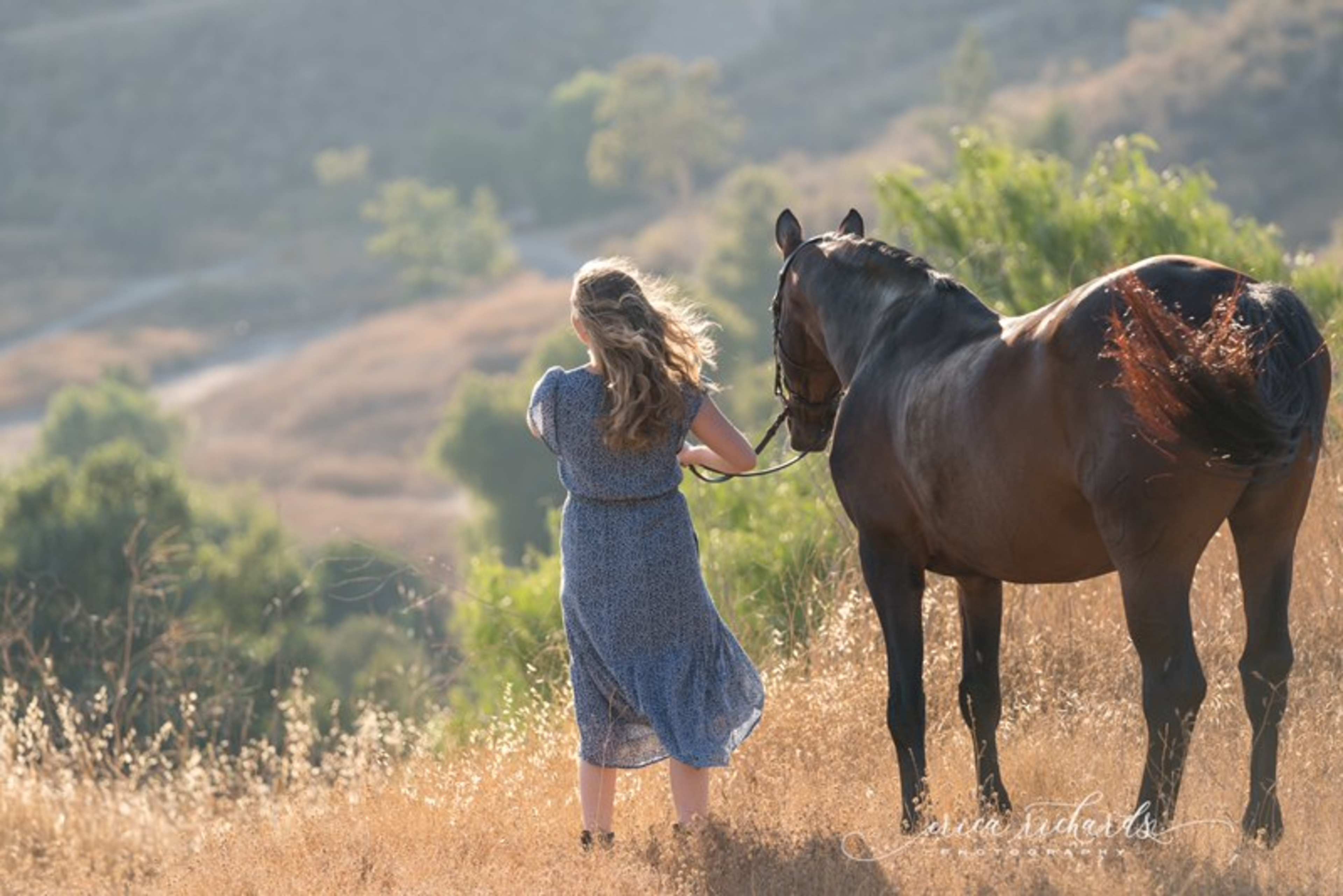 A woman in a blue dress walks alongside a brown horse on a hillside with golden grass and a distant tree line.