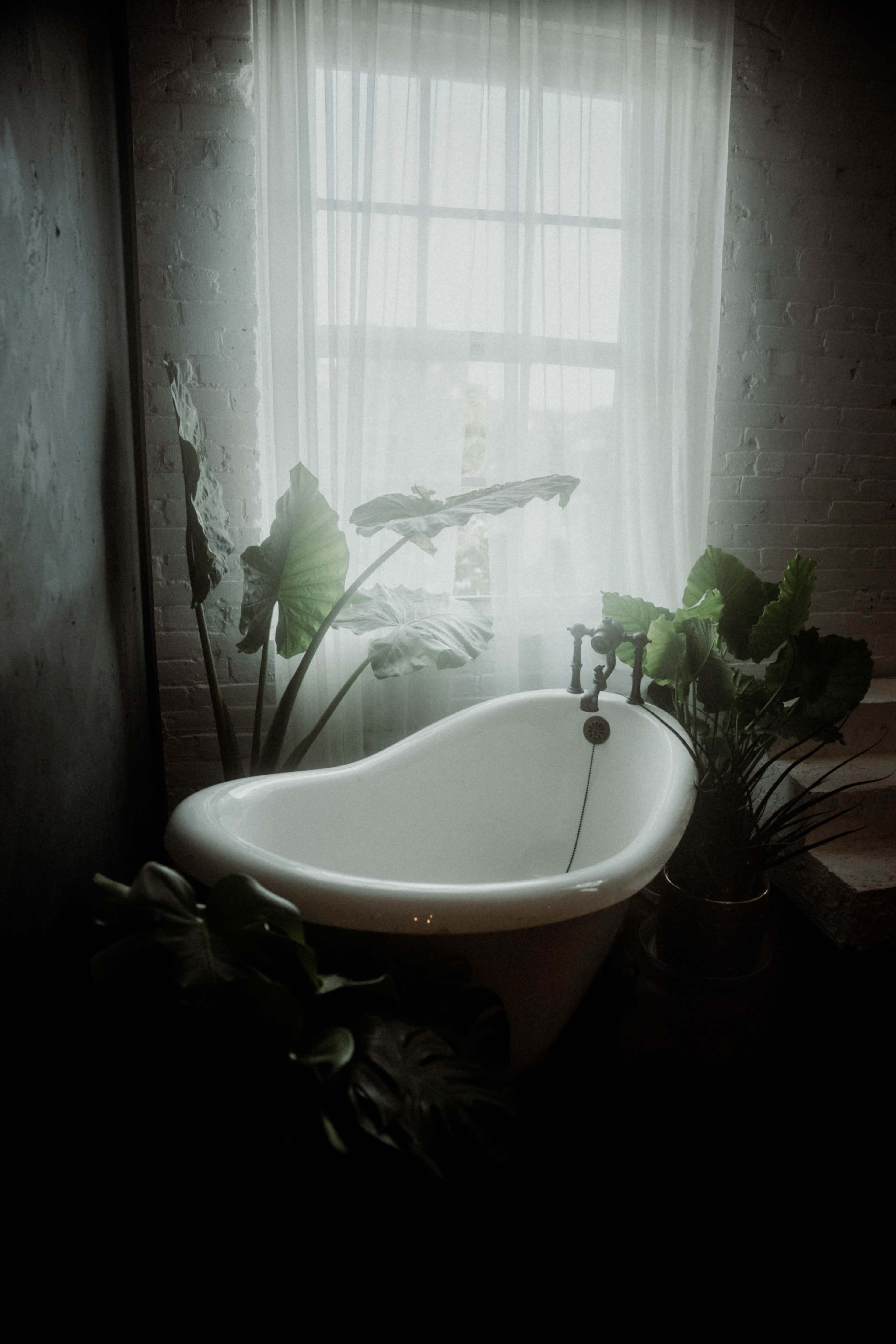 Studio 301A Image in Northwest Tampa, Tampa, FL