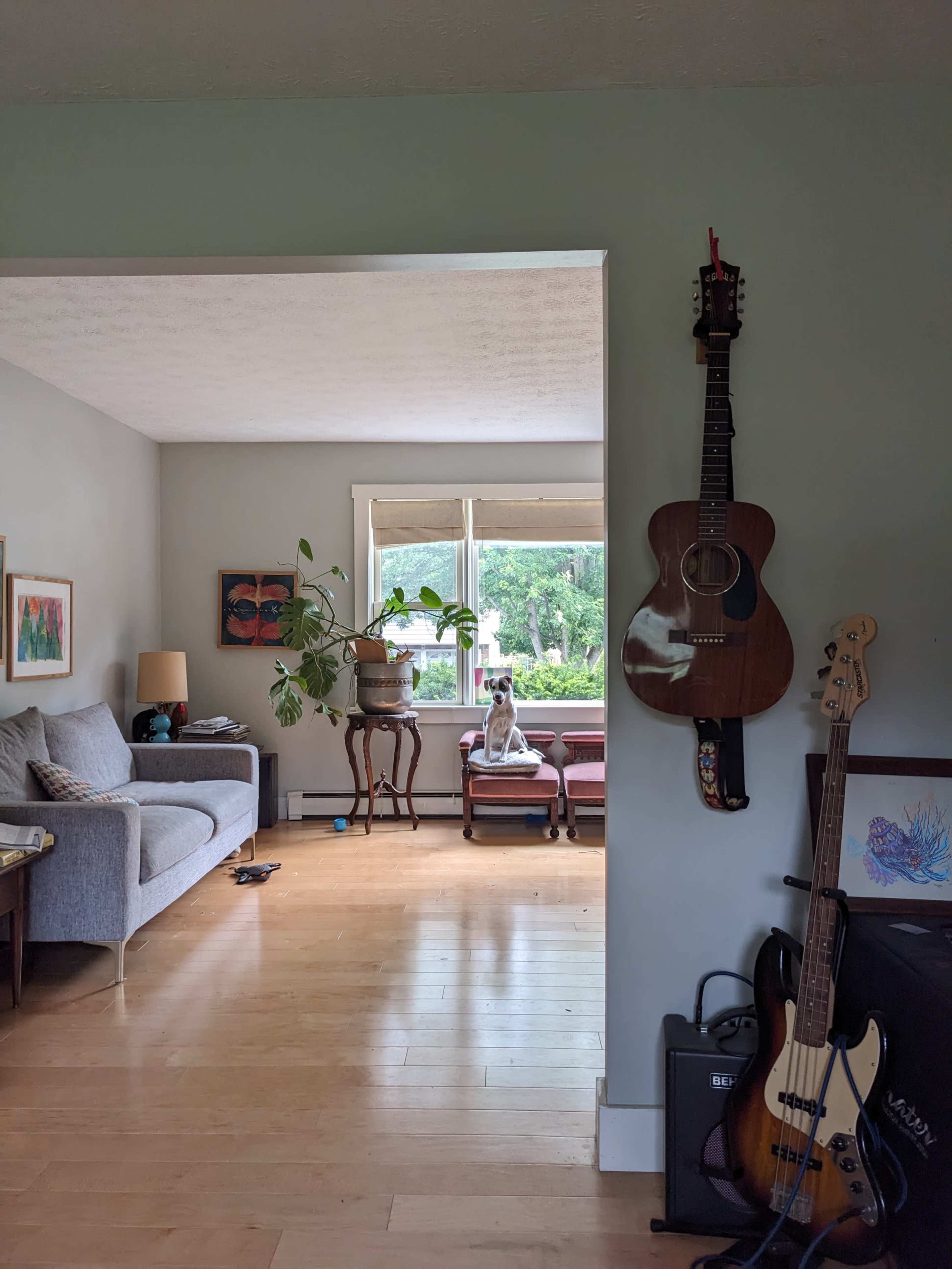 Suburban house for the everyday person Image in New North End, Burlington, VT