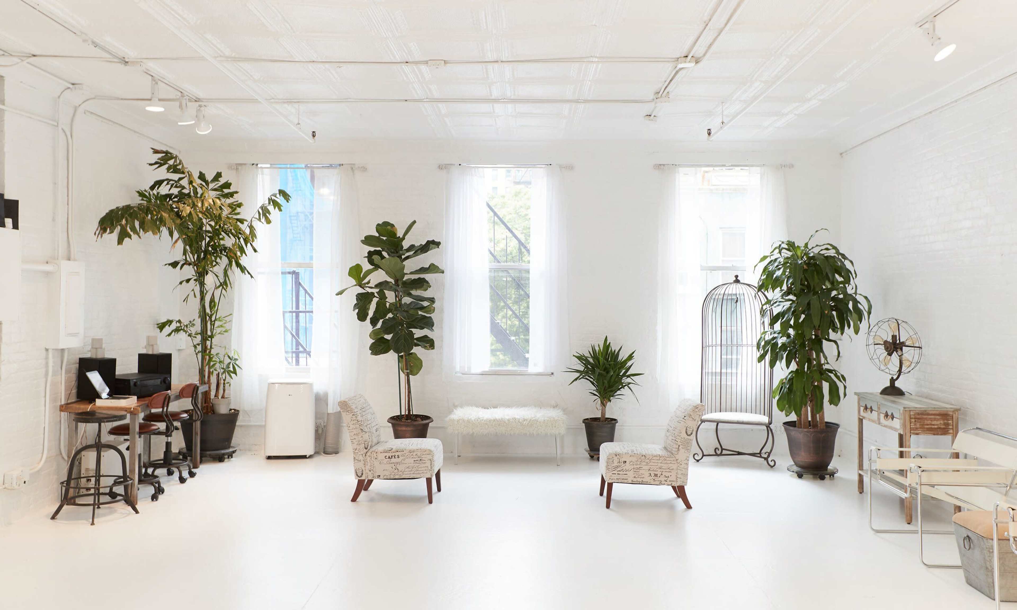 A bright, airy room features two patterned chairs, several potted plants, a small desk, and large windows allowing natural light to fill the space.