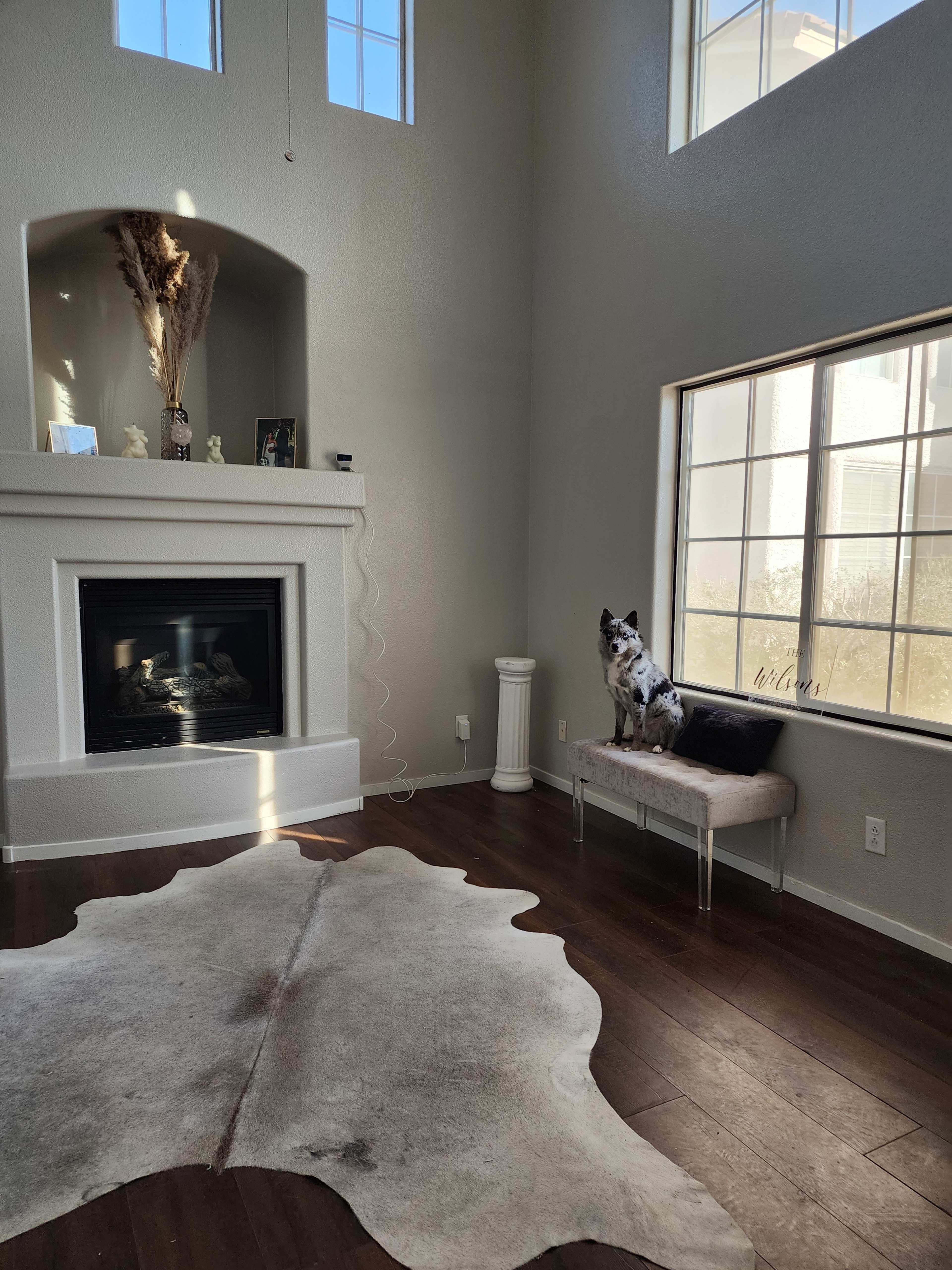 A light-filled living room featuring a fireplace, a cowhide rug, and a dog sitting on a bench beside a large window.