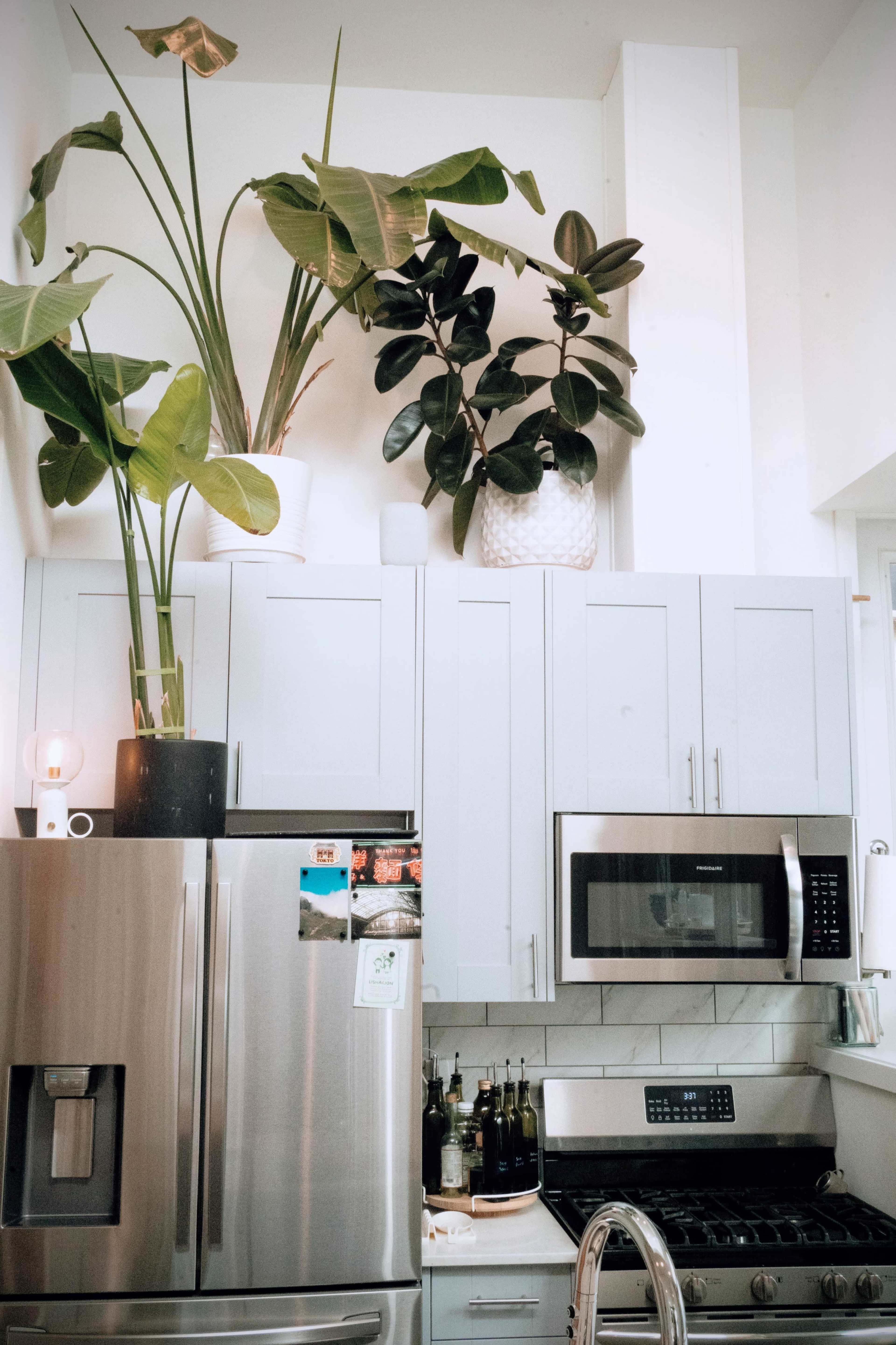 The image shows a modern kitchen with light-colored cabinetry, stainless steel appliances, and potted plants on top of the cabinets.