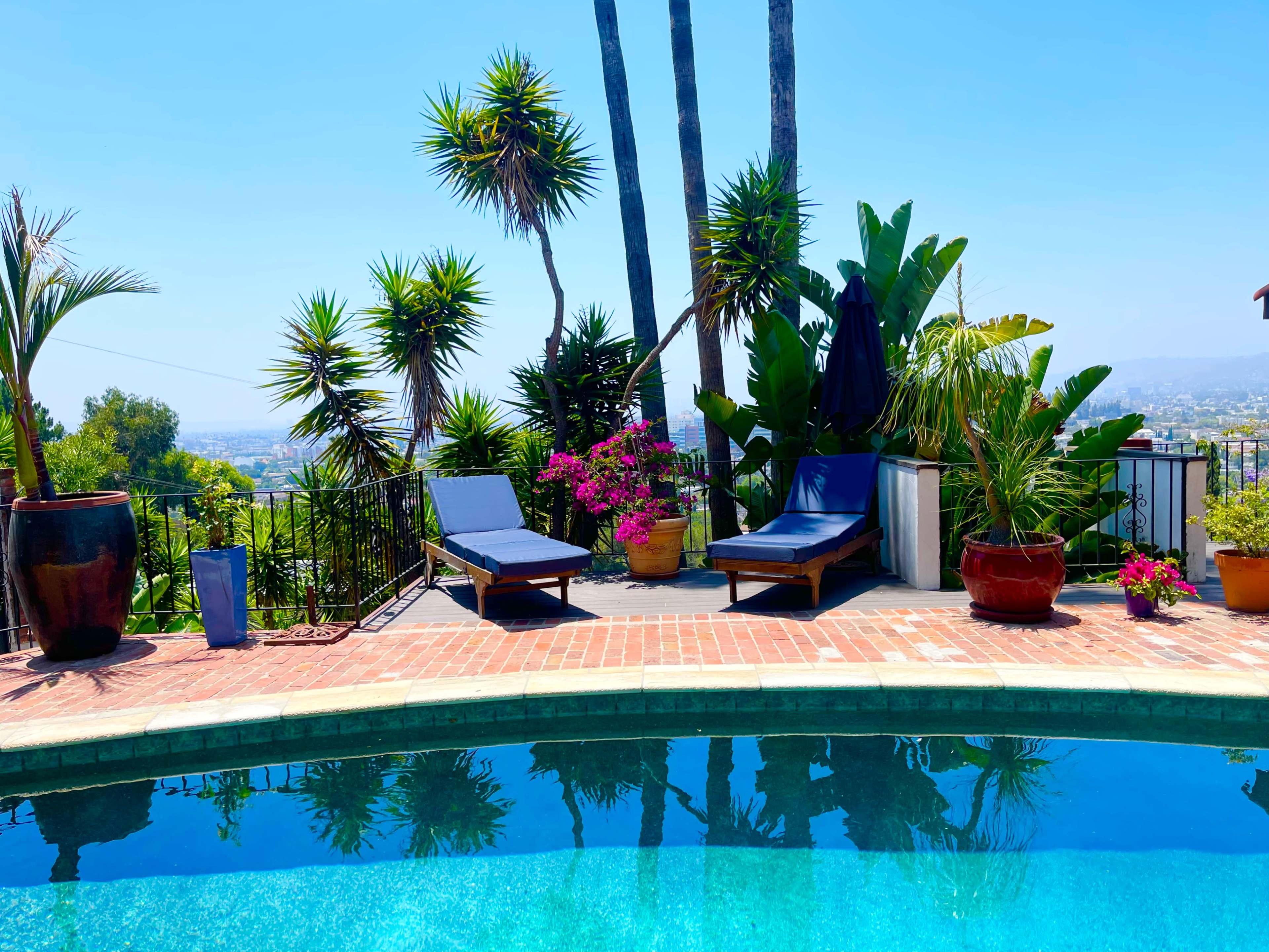 The image shows a swimming pool surrounded by palm trees and potted plants, with two lounge chairs positioned beside the water.