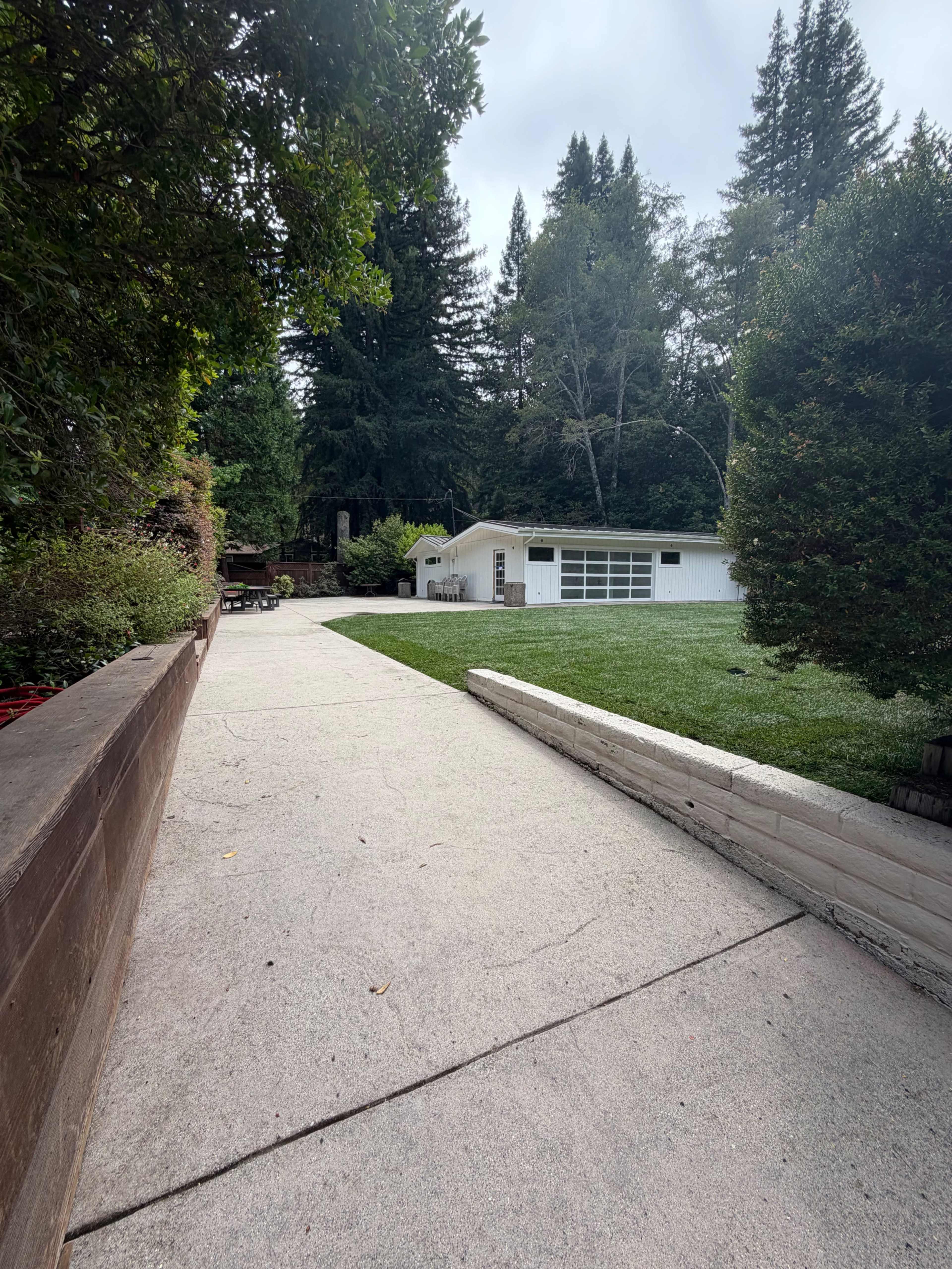 A concrete path leads to a white building surrounded by greenery and tall trees.