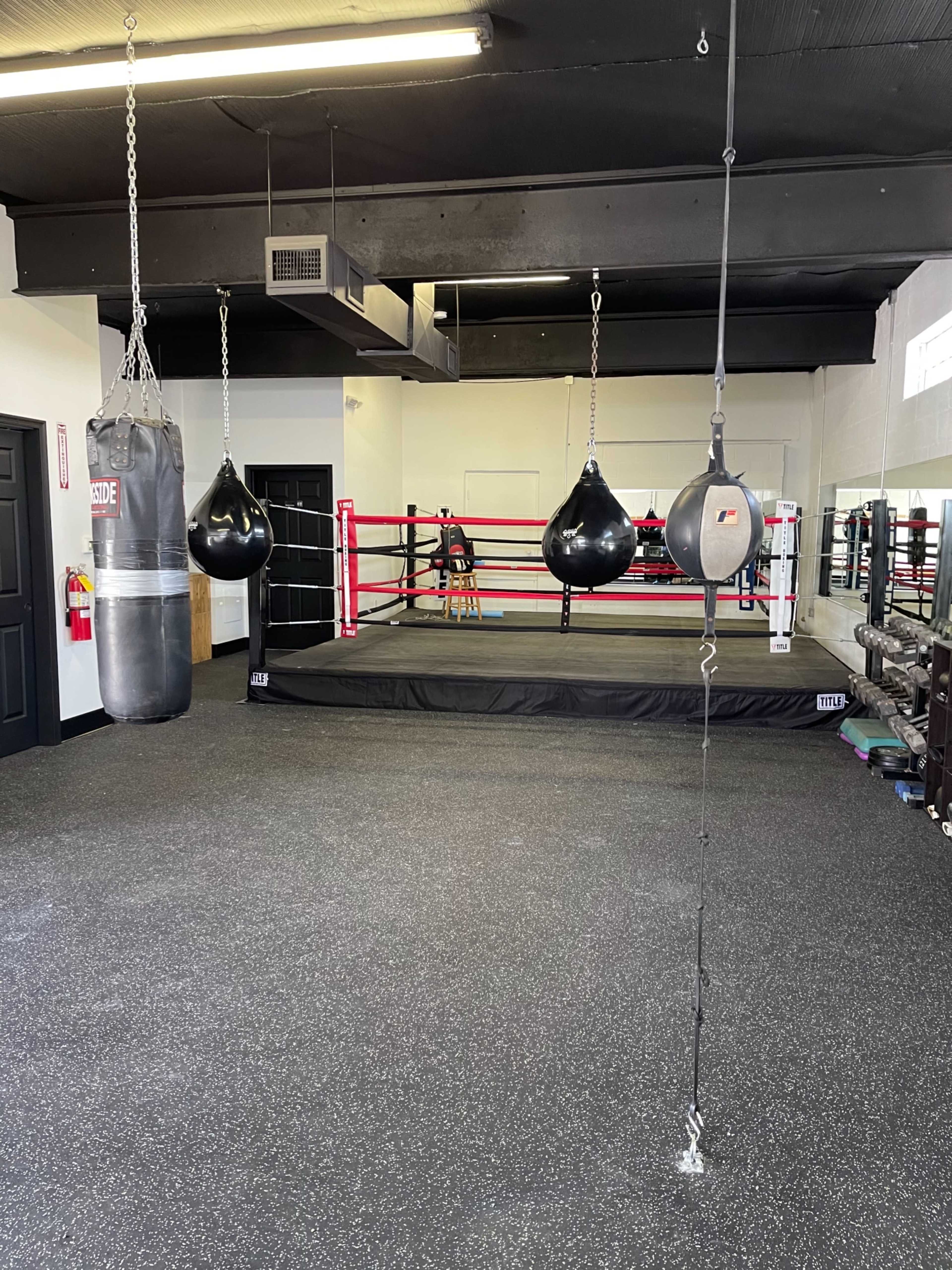 A boxing gym featuring a boxing ring in the center, a heavy bag hanging from the ceiling, and two speed bags on either side.