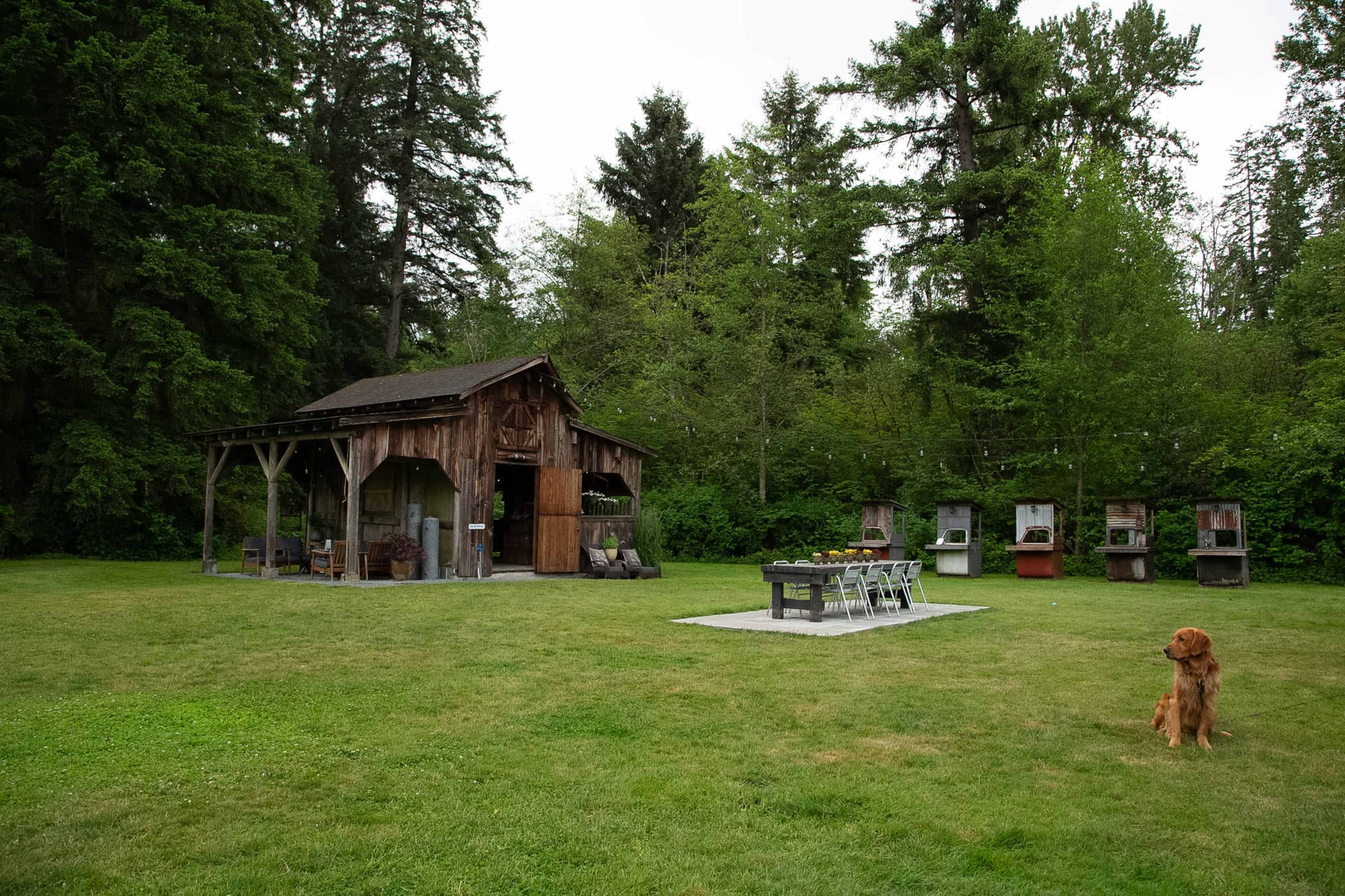 A rustic wooden shed stands in a grassy area surrounded by trees, with outdoor seating and grills arranged nearby.