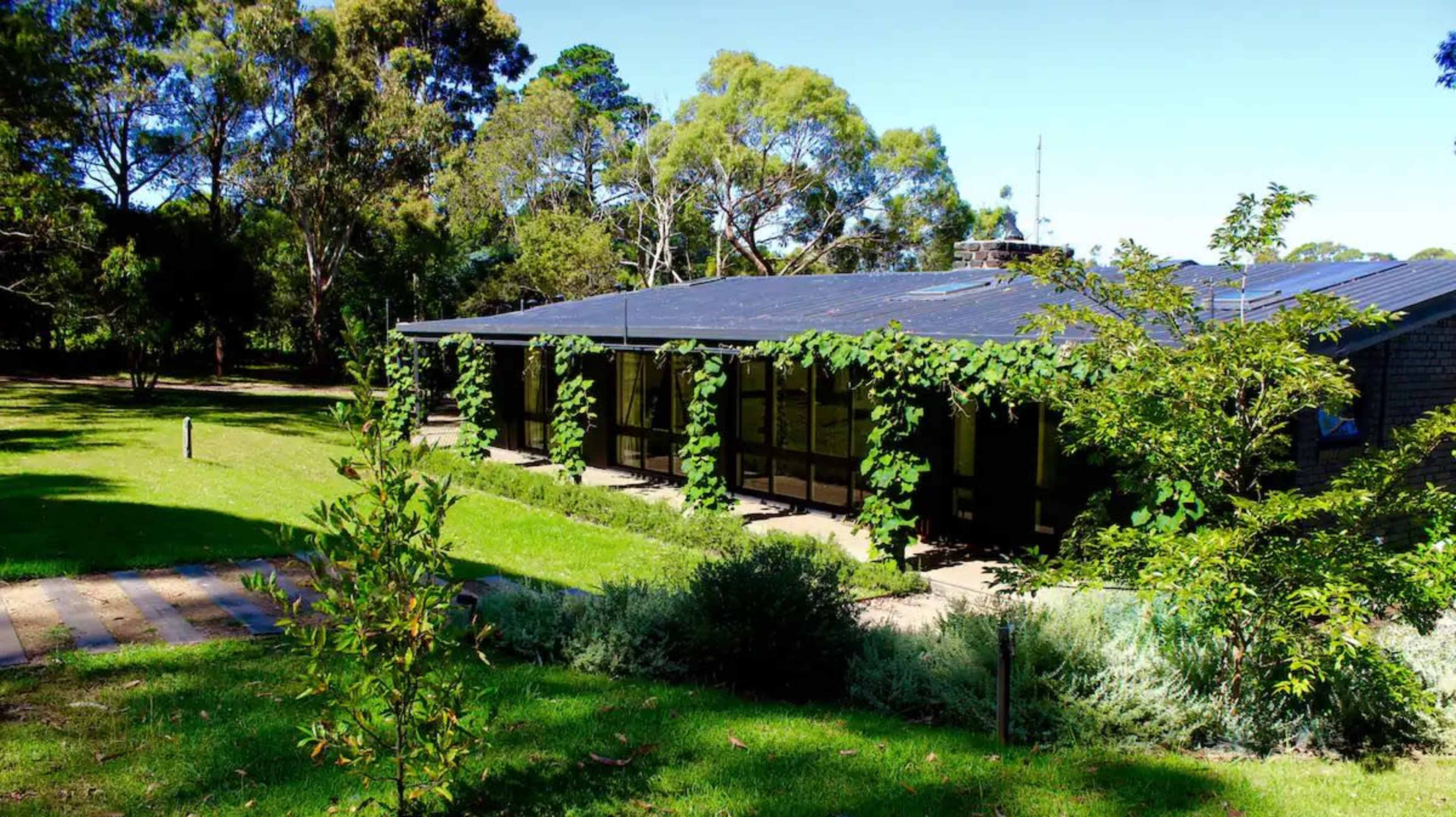 A single-story building is surrounded by lush greenery and trees, with vines creeping along its exterior.